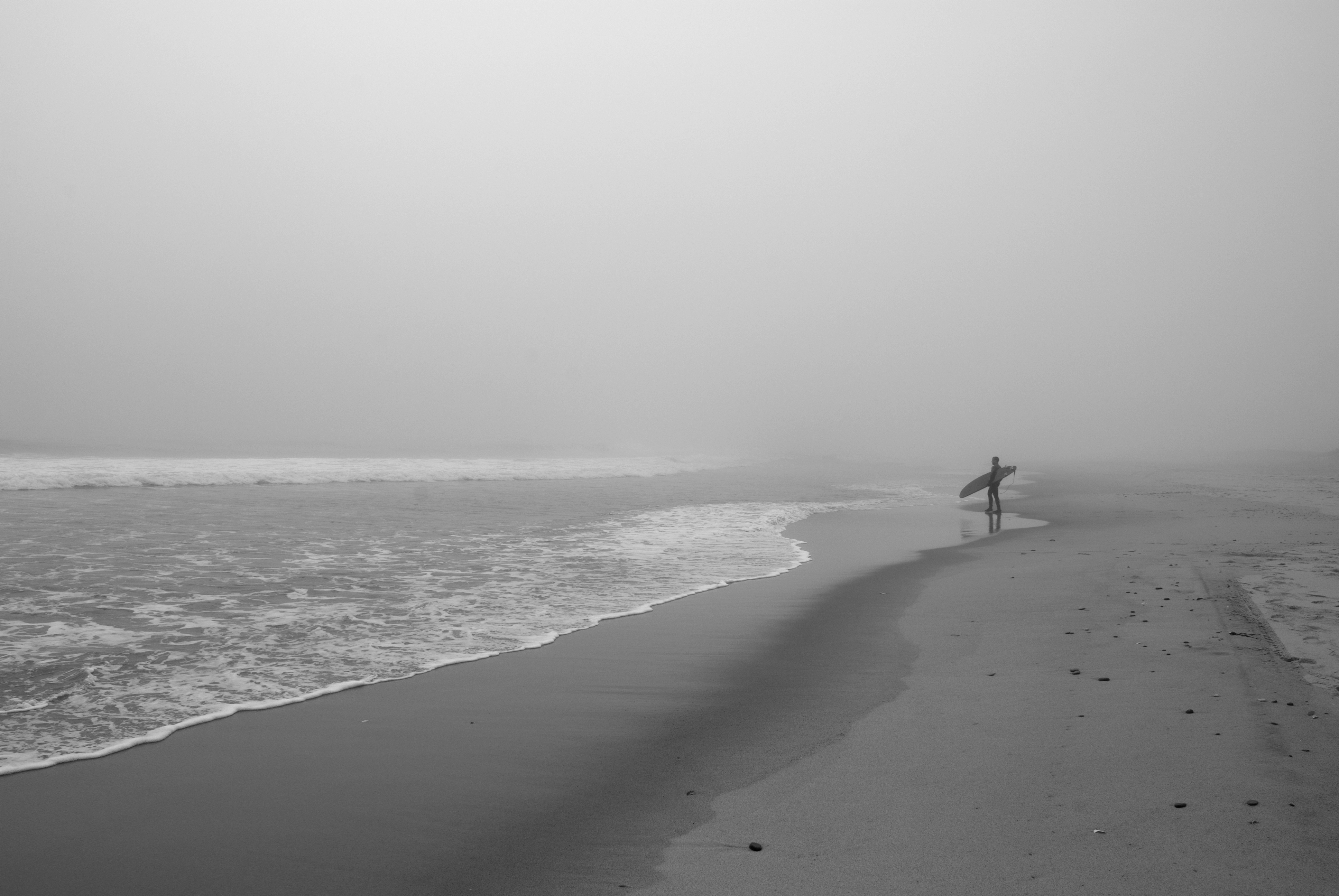 Misty Coast, Cape Cod | taniajessicasmith