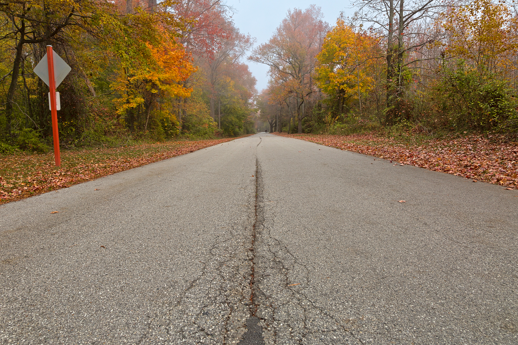 Misty fall road - hdr photo