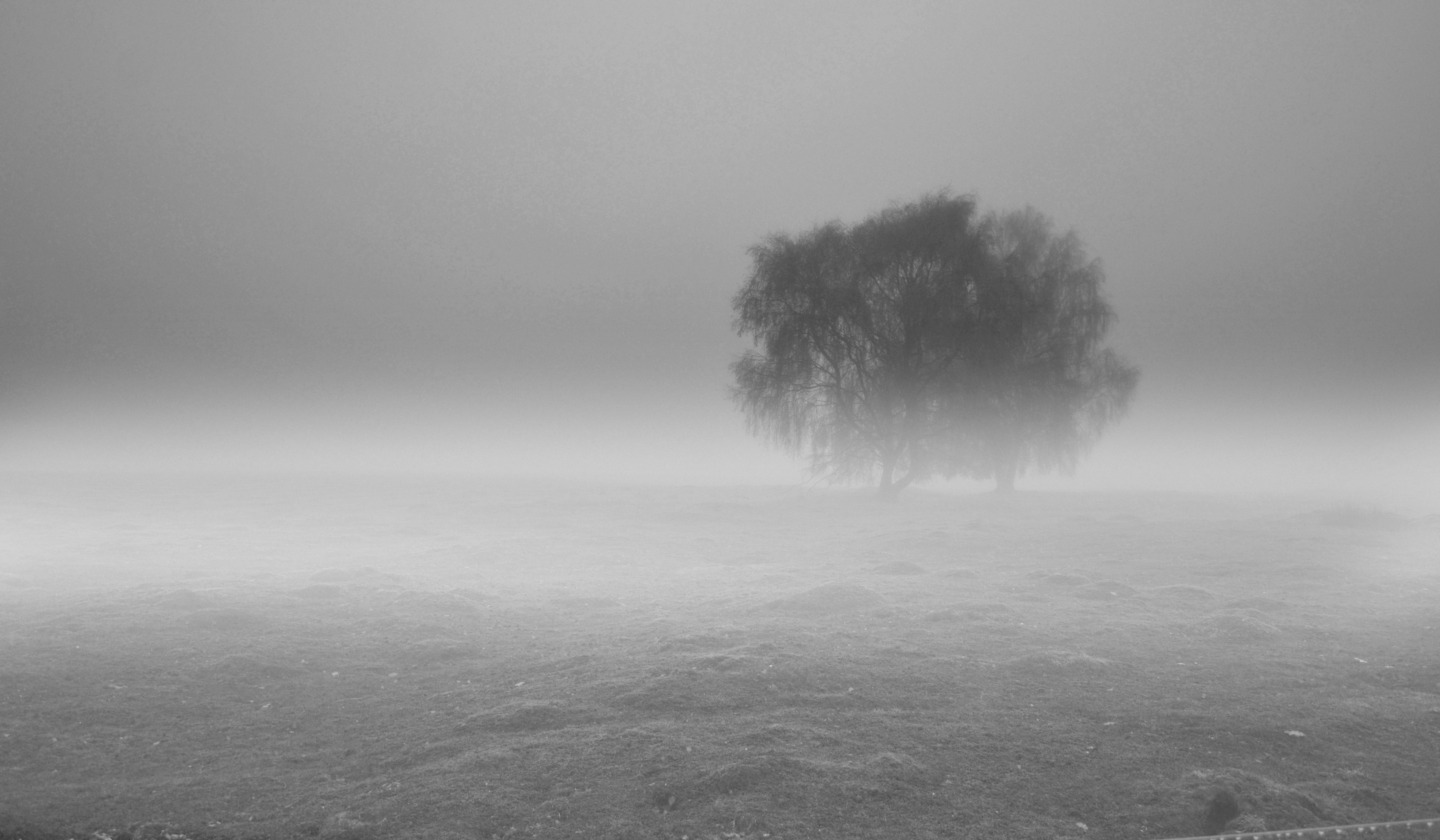 Misty landscape by DesuDan on DeviantArt