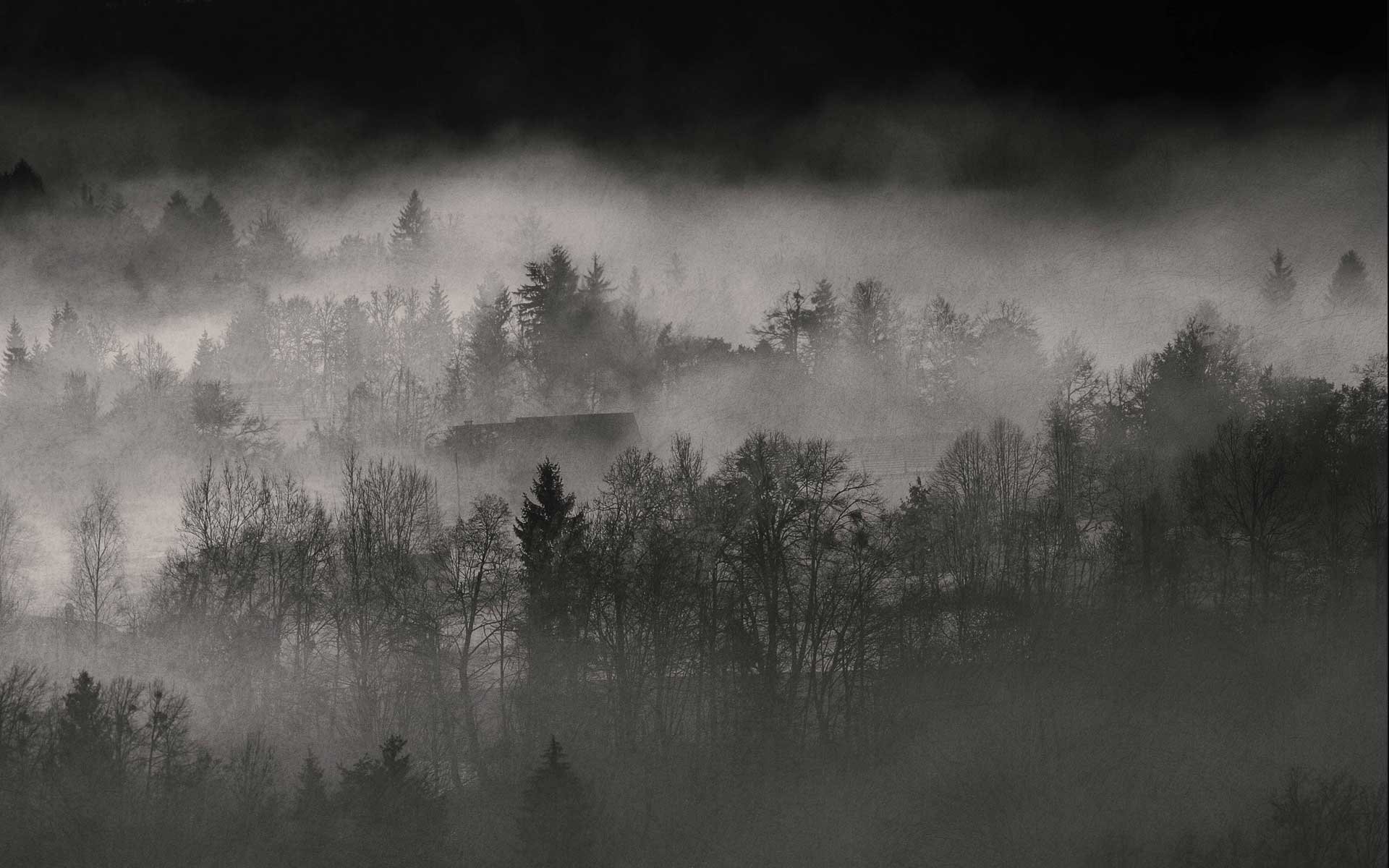 Misty Landscape 233824 - WallDevil