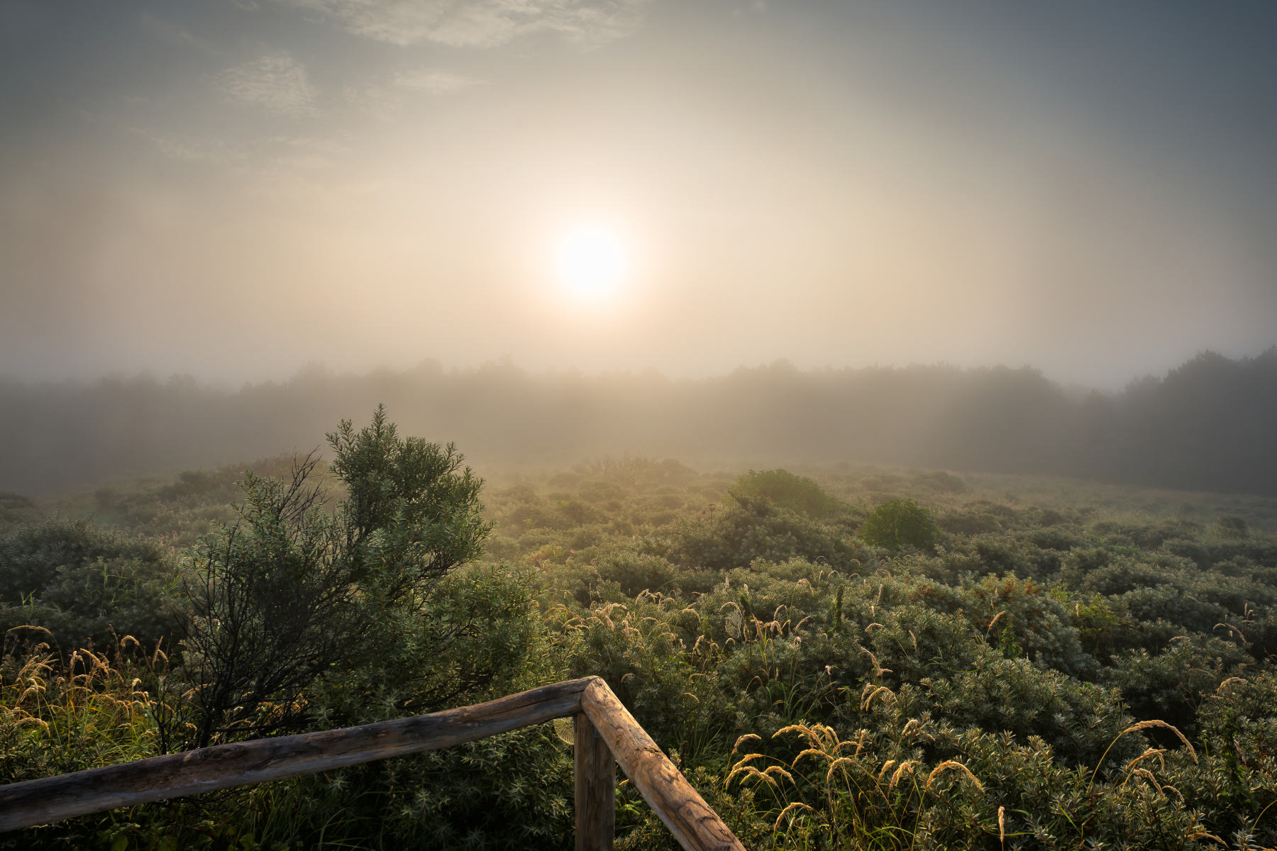 misty morning sun | Stan Schaap PHOTOGRAPHY