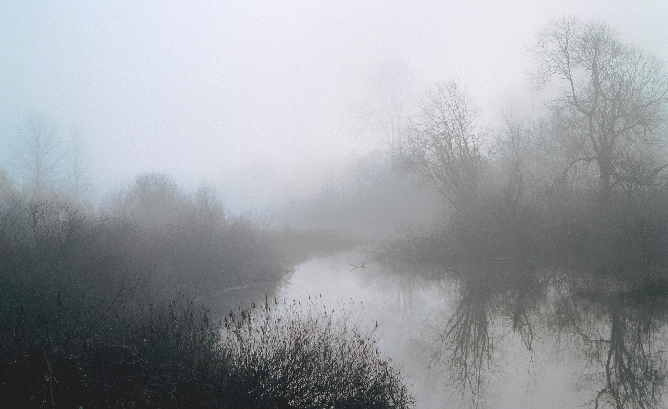 Misty Morning, Somenos Creek | Through a Vintage Lens