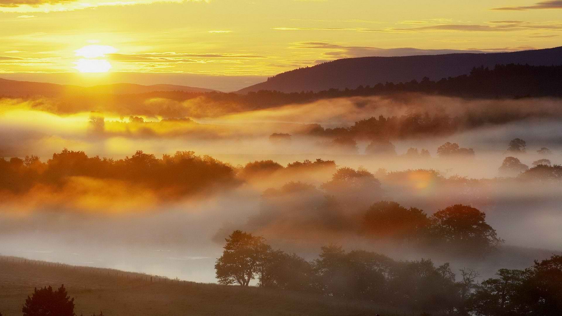 misty sunrise | Landscape | Pinterest