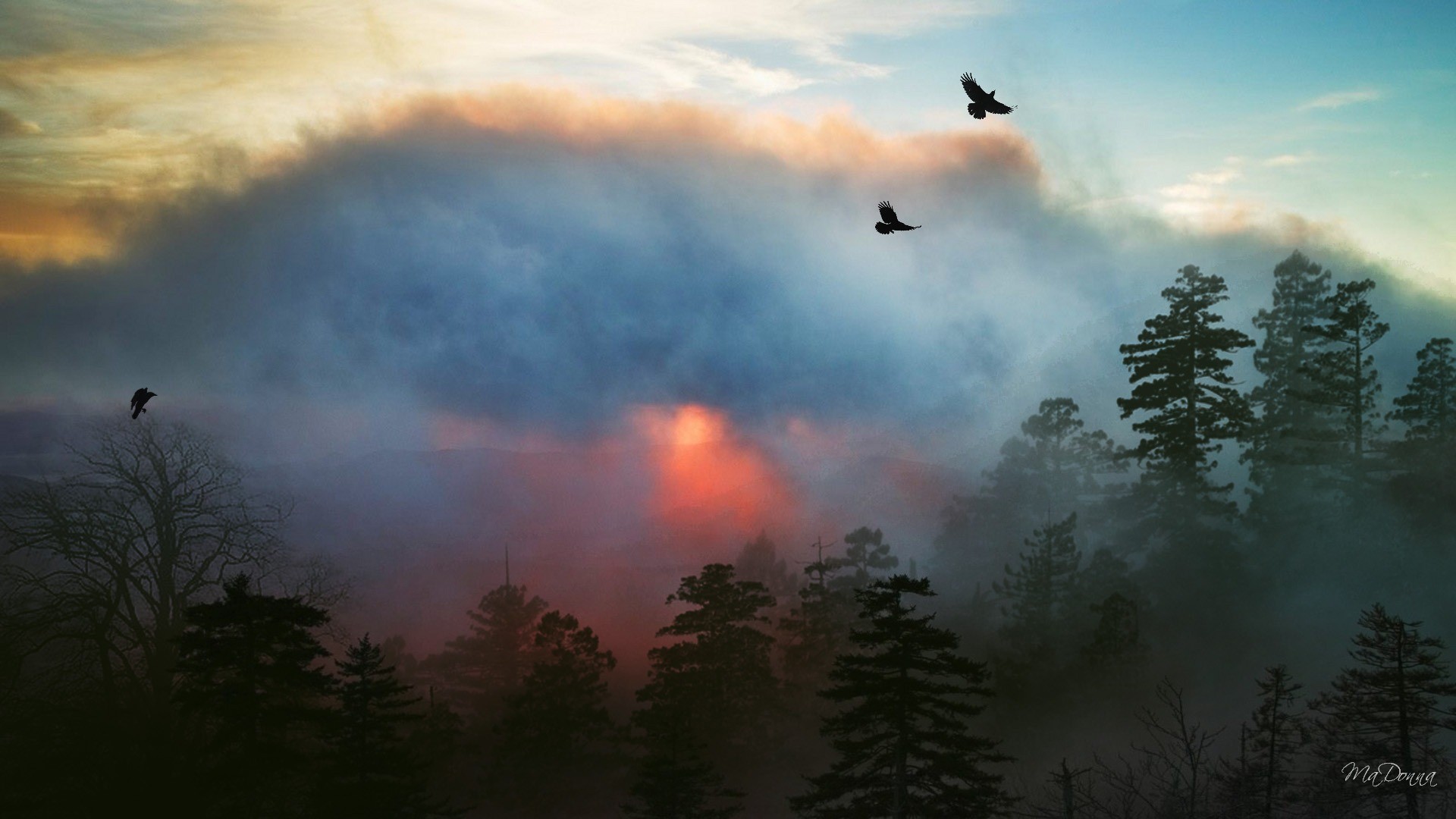 Sky: Misty Sunrise Birds Clouds Sky Trees SunriseWP Background With ...