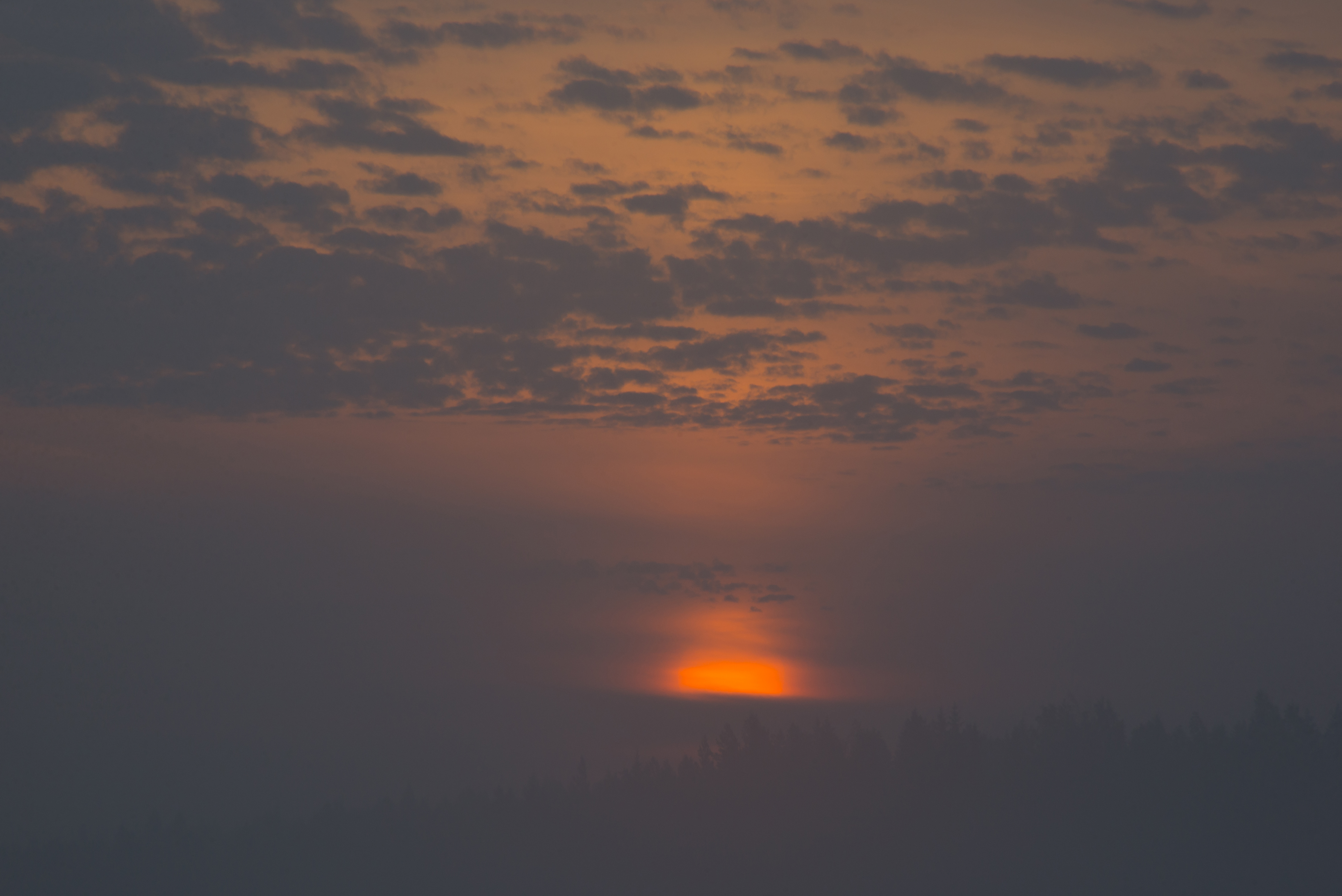 File:Misty sunrise - Torronsuo National Park (37518497156).jpg ...