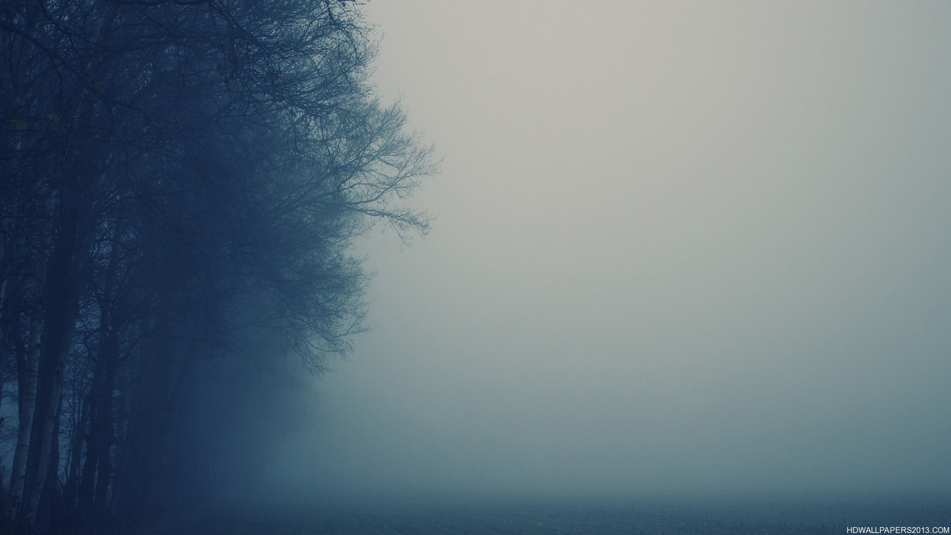 Misty Weather And Trees - WallDevil