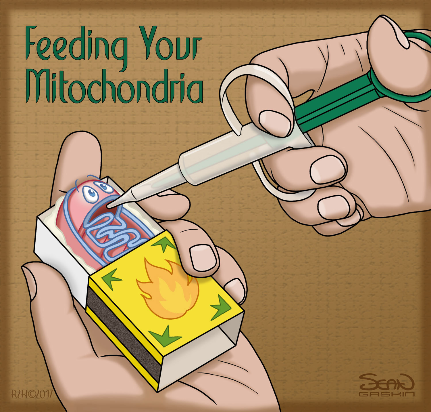 Feeding Your Mitochondria - Return2Health