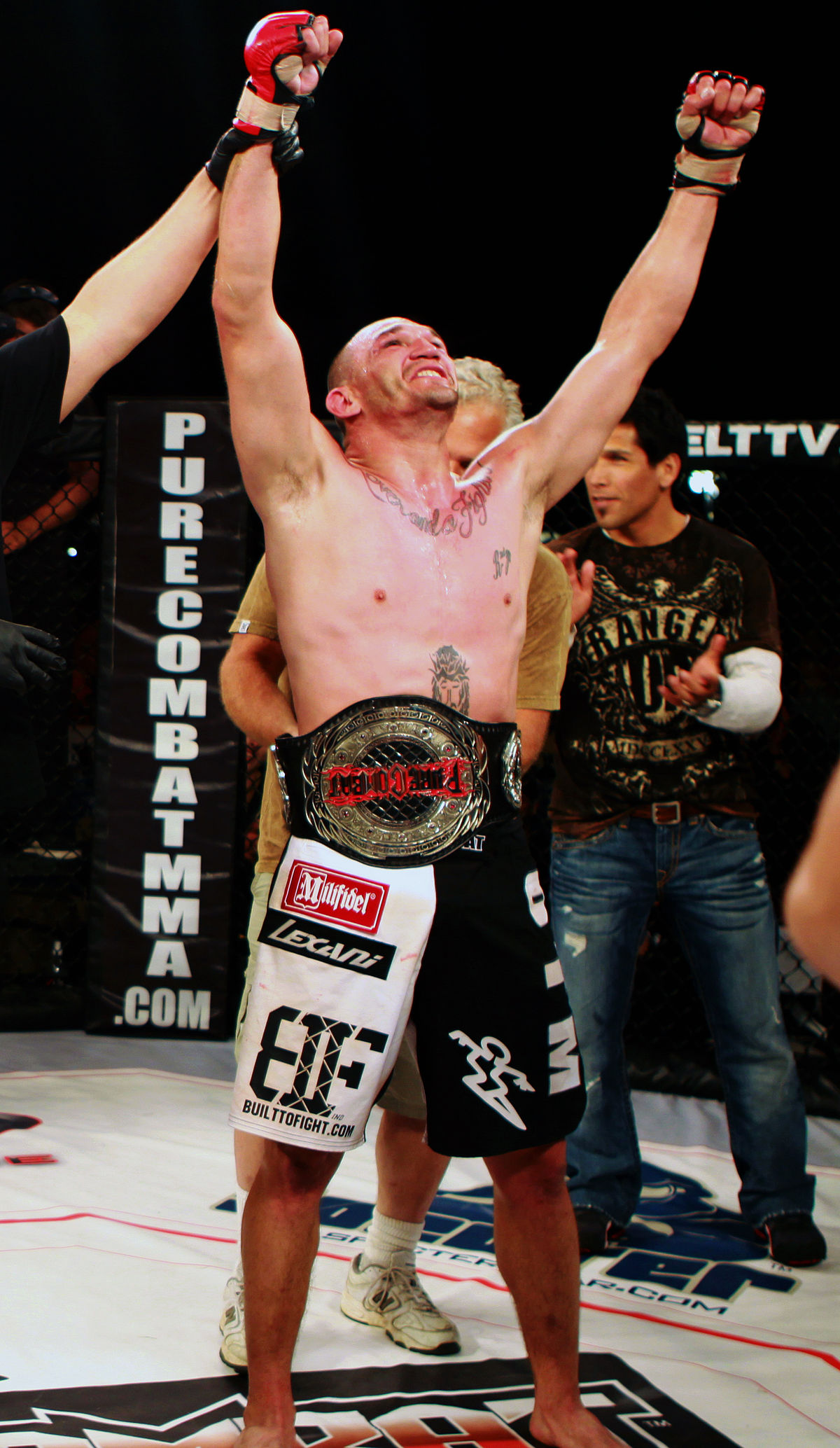 List of current mixed martial arts champions - Wikipedia