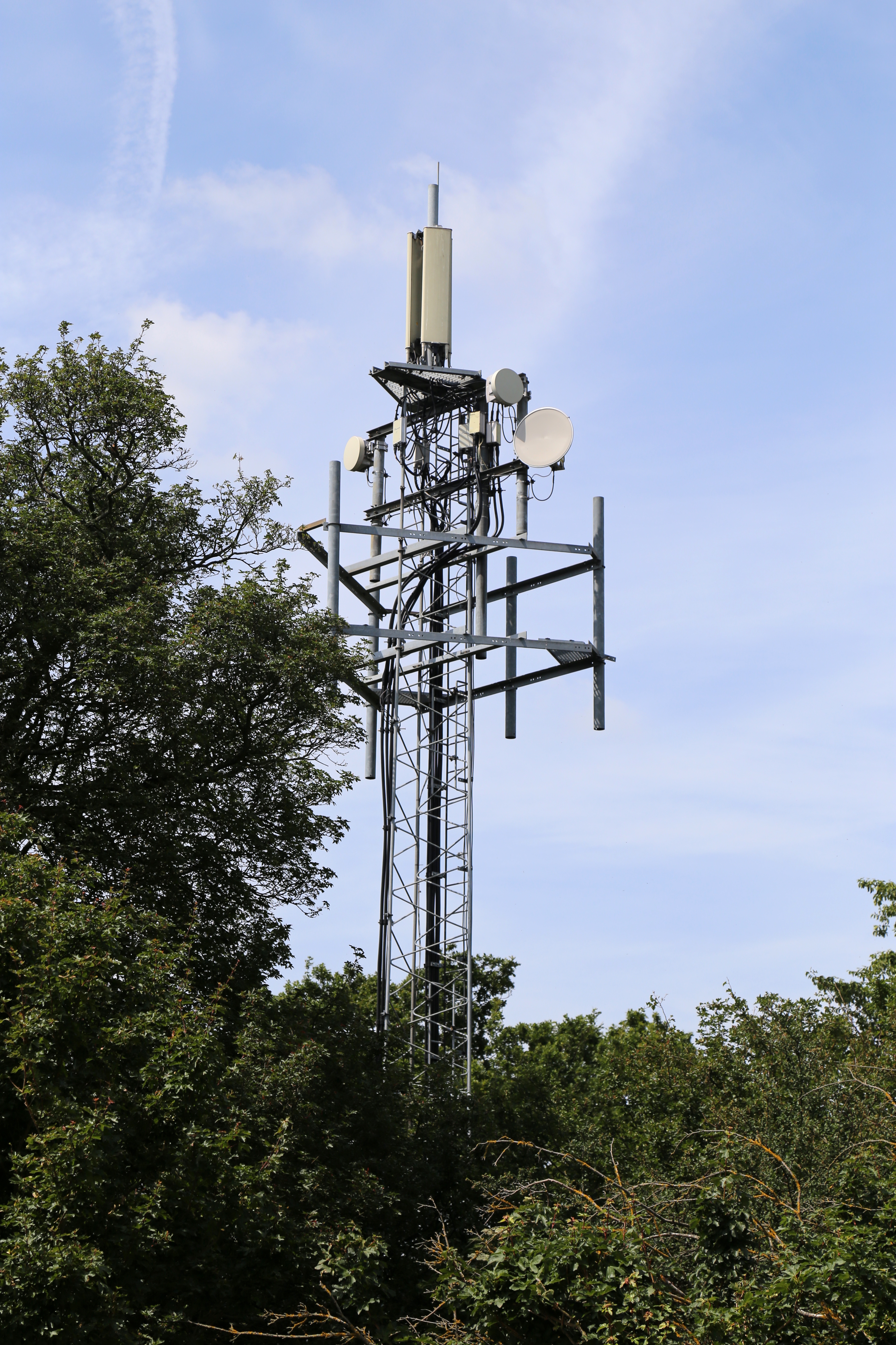File:Cell phone mobile phone mast at Theydon Bois, Essex, England ...