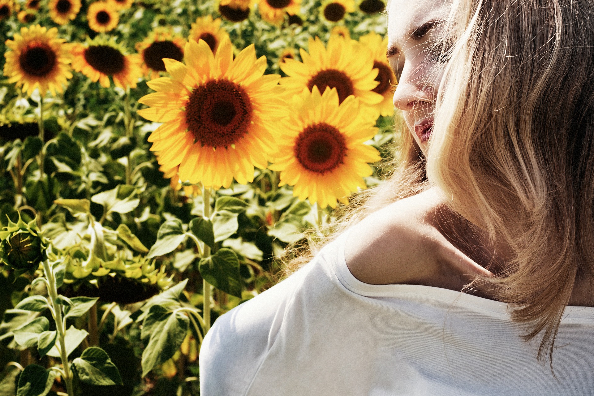 Model in the sunflower field photo