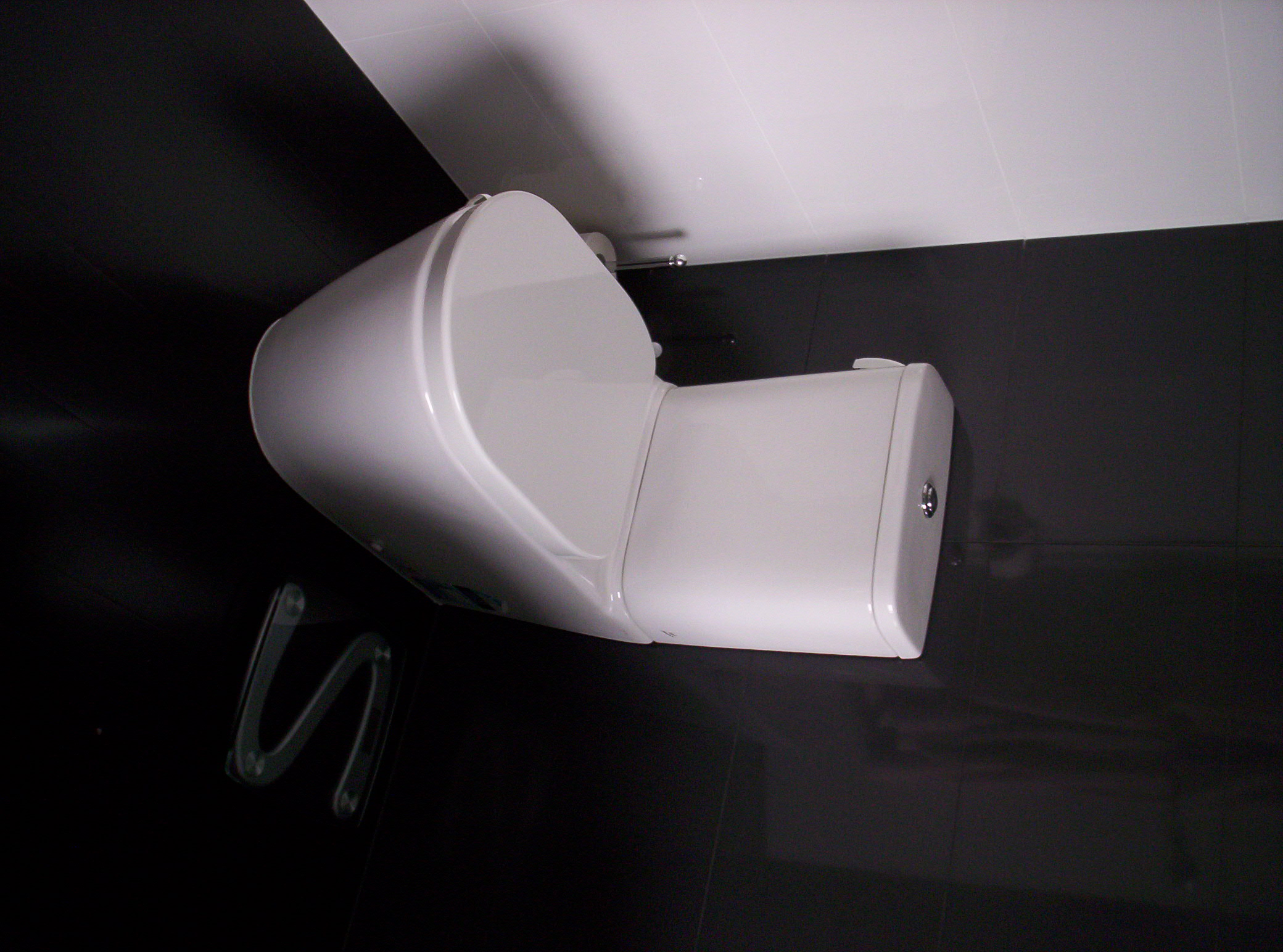 Modern style toilet photo