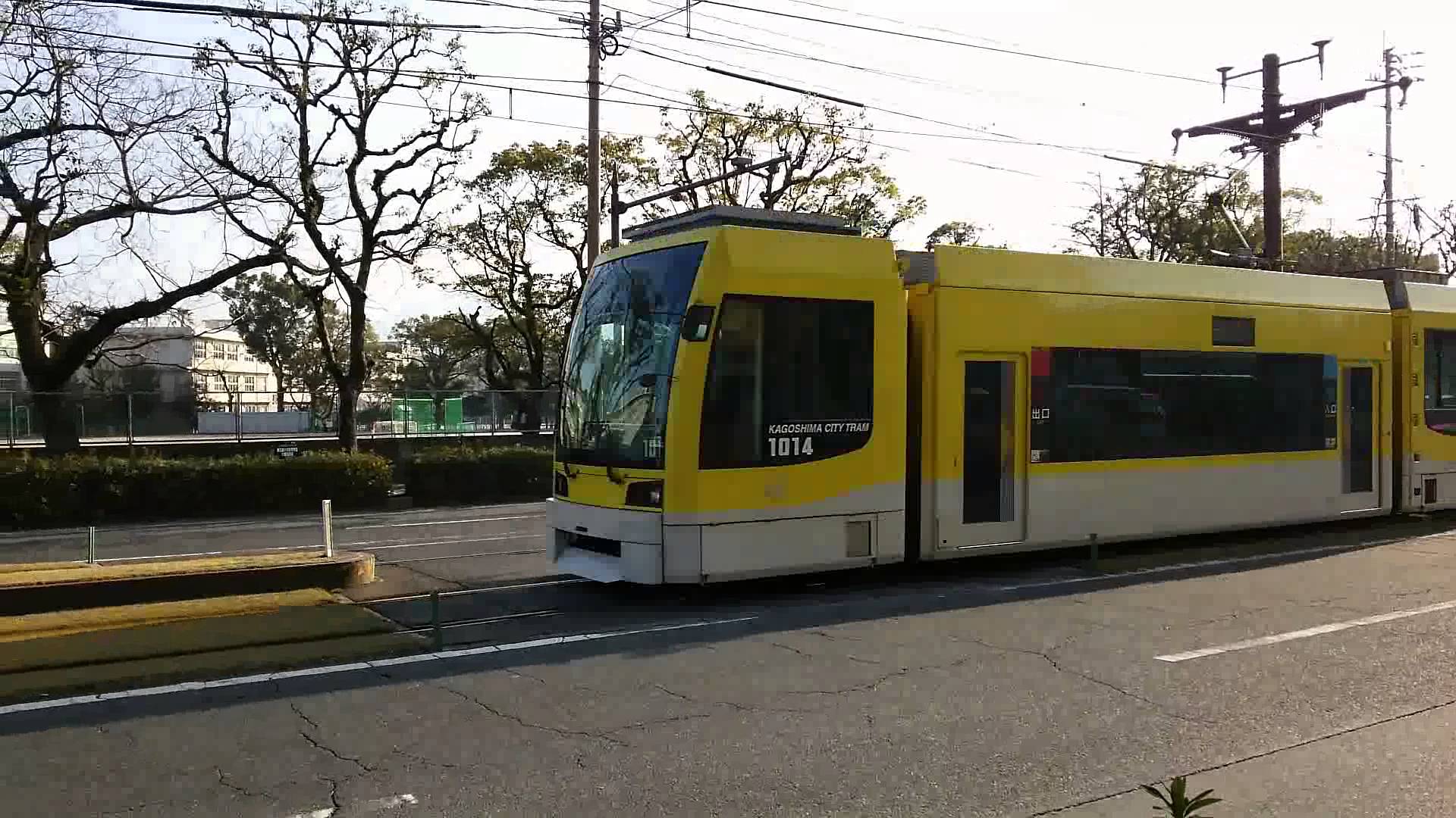 Modern Tram on Green Lawn Tramways in Kagoshima City, Convenient ...