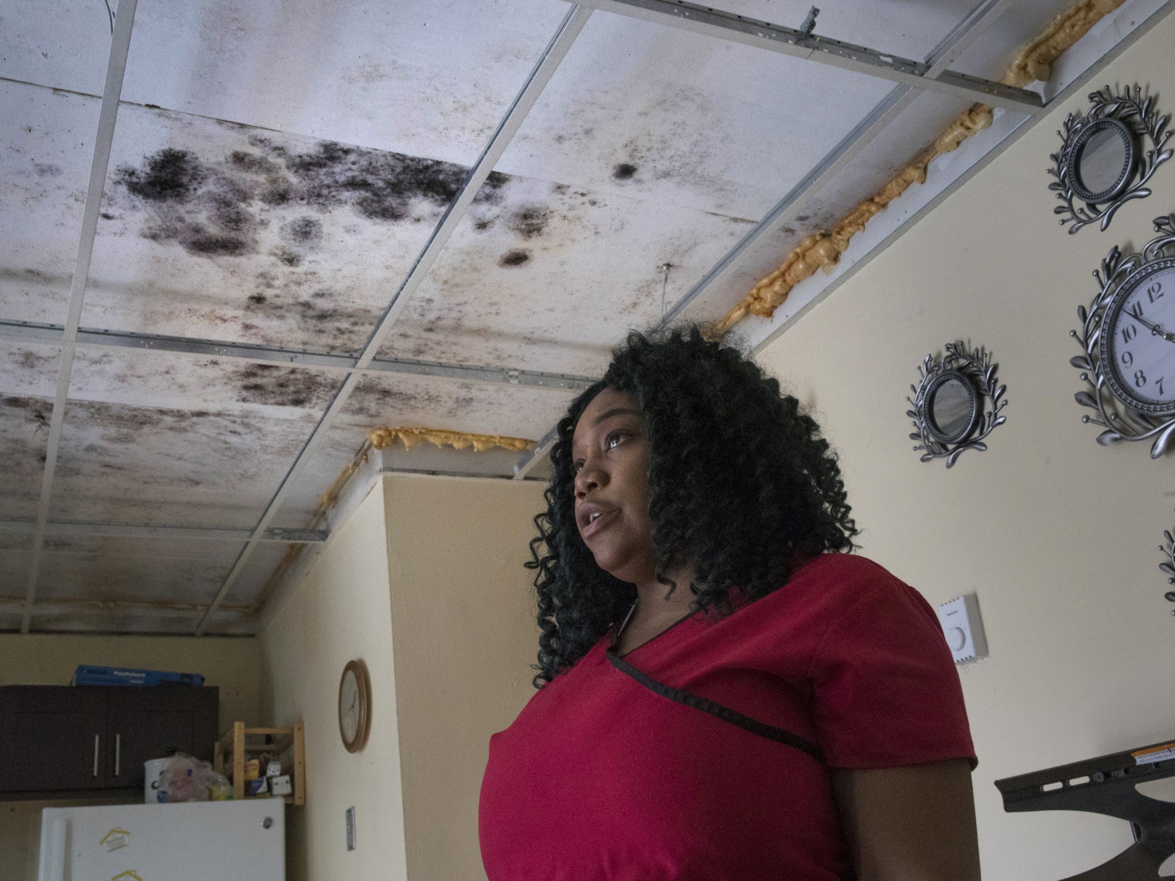 Mold plagues NJ renters who have nowhere to turn