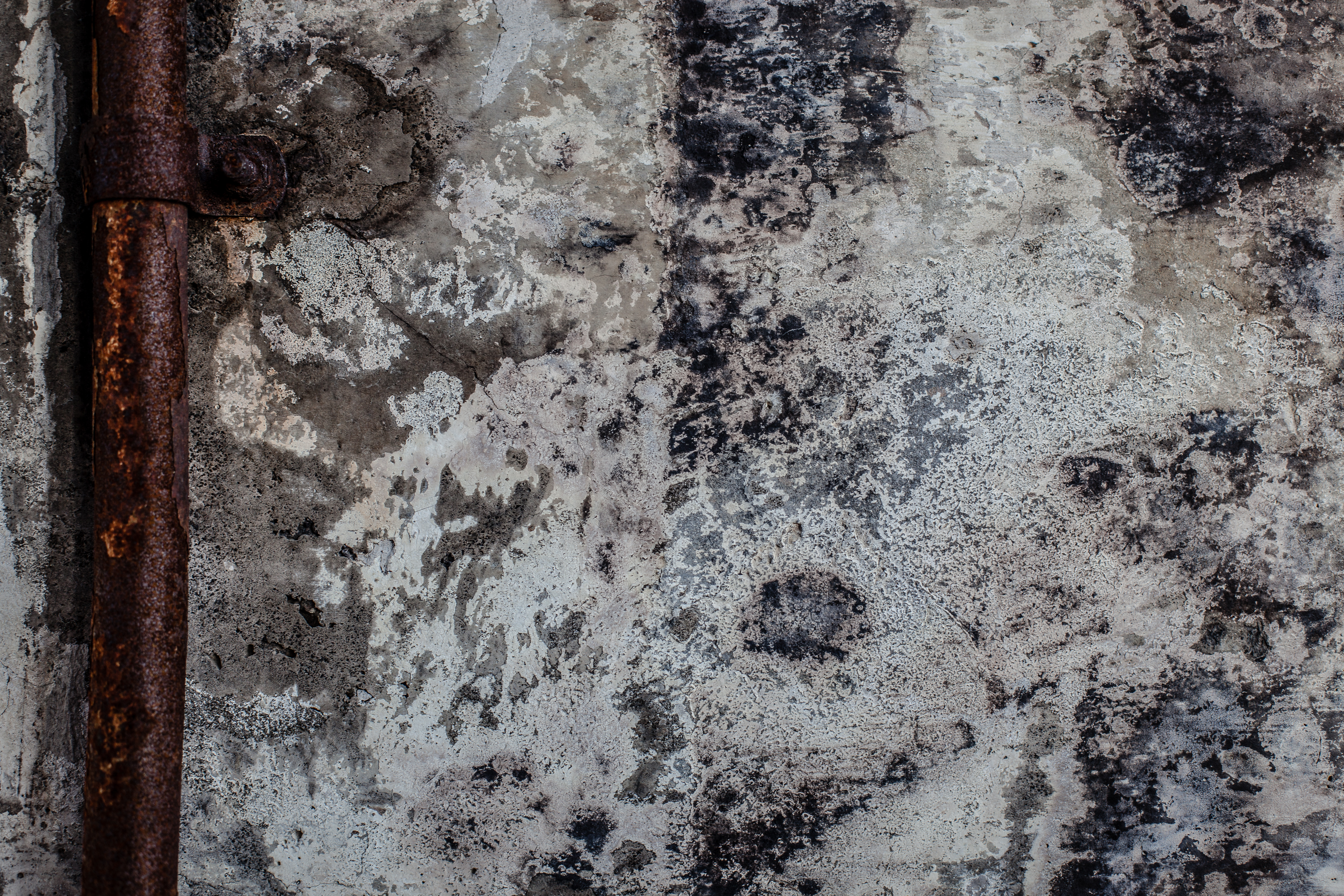 Moldy grunge wall surface photo