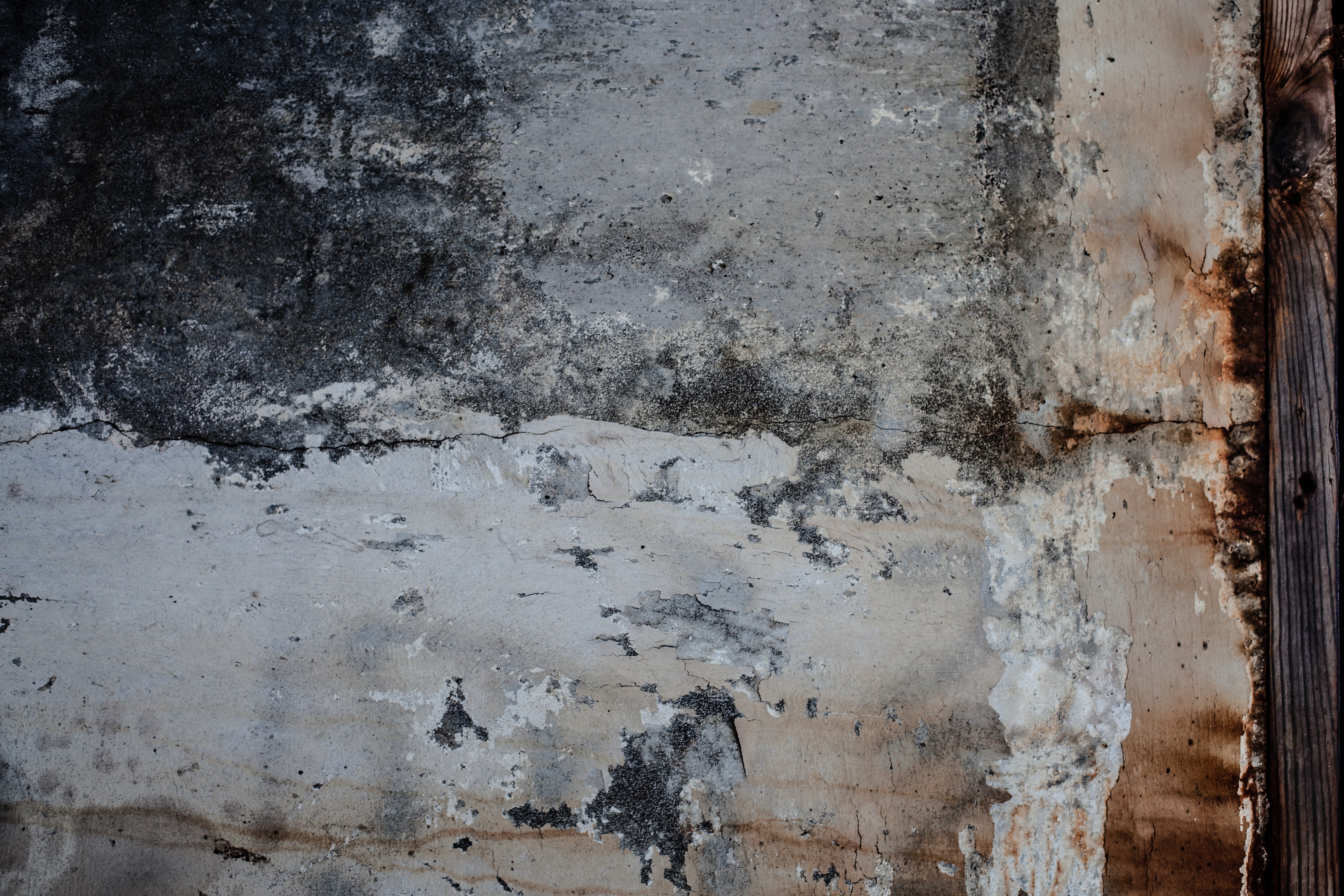 Moldy grunge wall texture photo