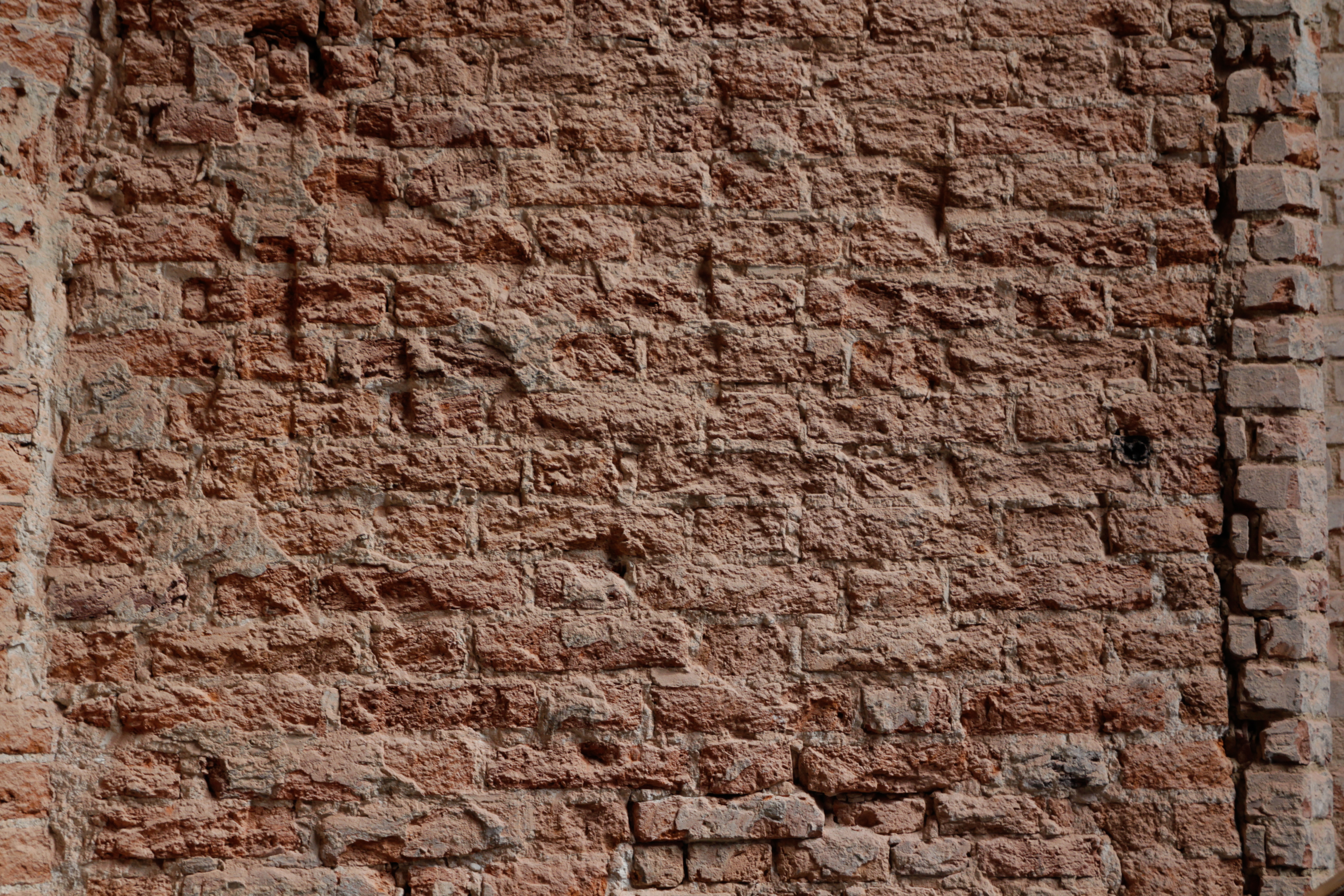 Moldy Church Medieval Brick-022 - Bricks - Texturify - Free textures