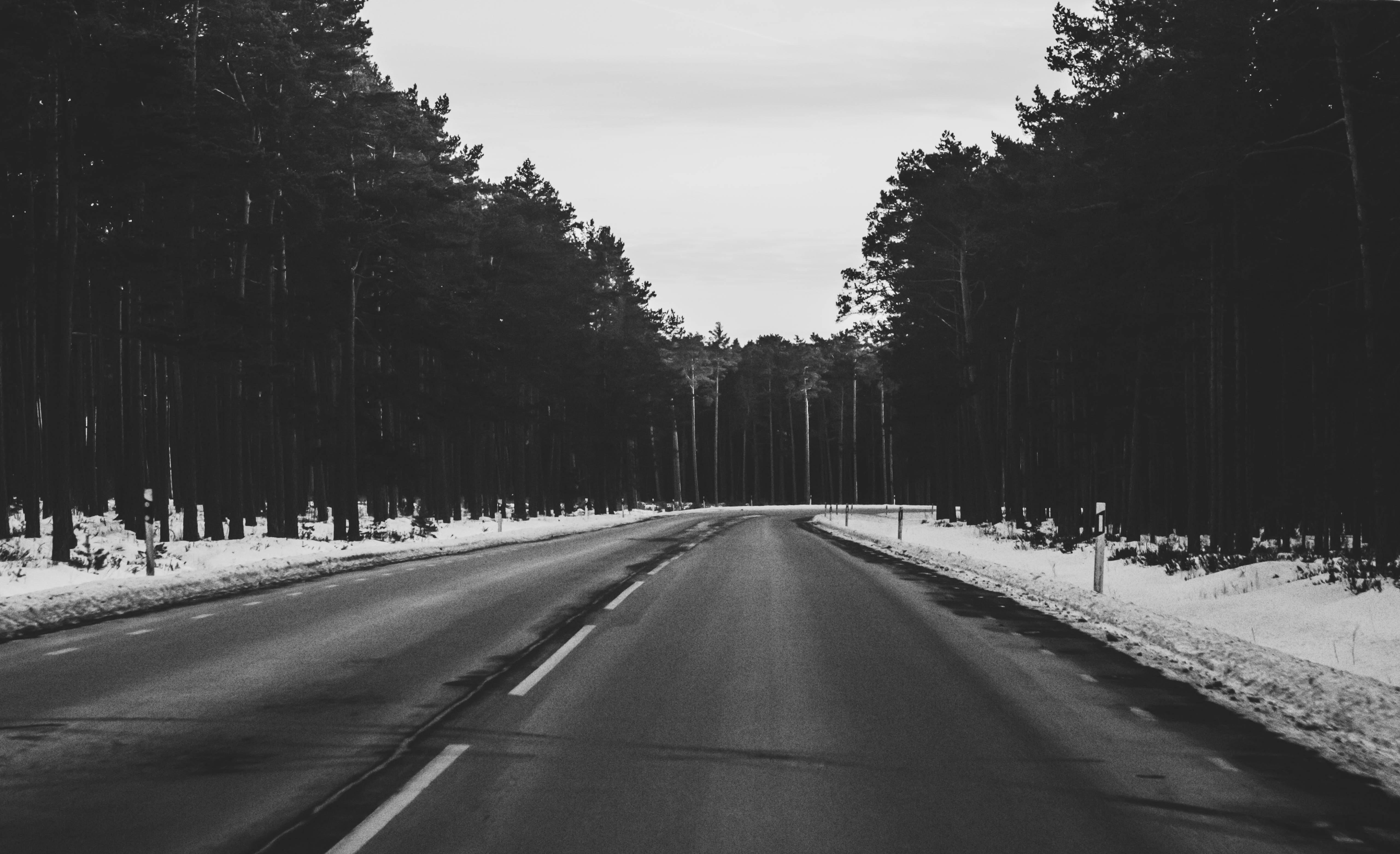Monochrome Photography of Roadway During Winter, Asphalt, Roadway, Winter, Trees, HQ Photo
