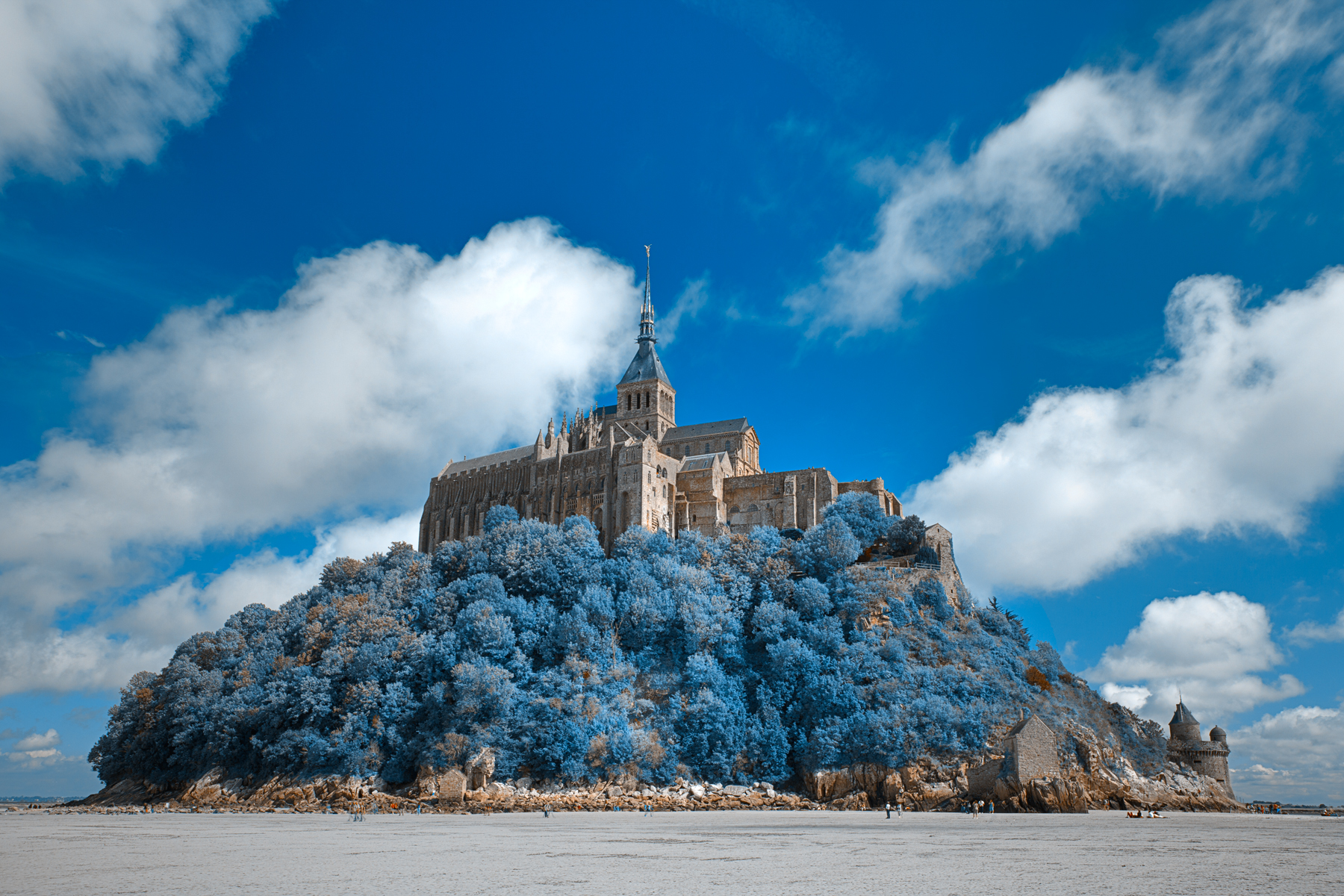 Mont saint-michel castle photo
