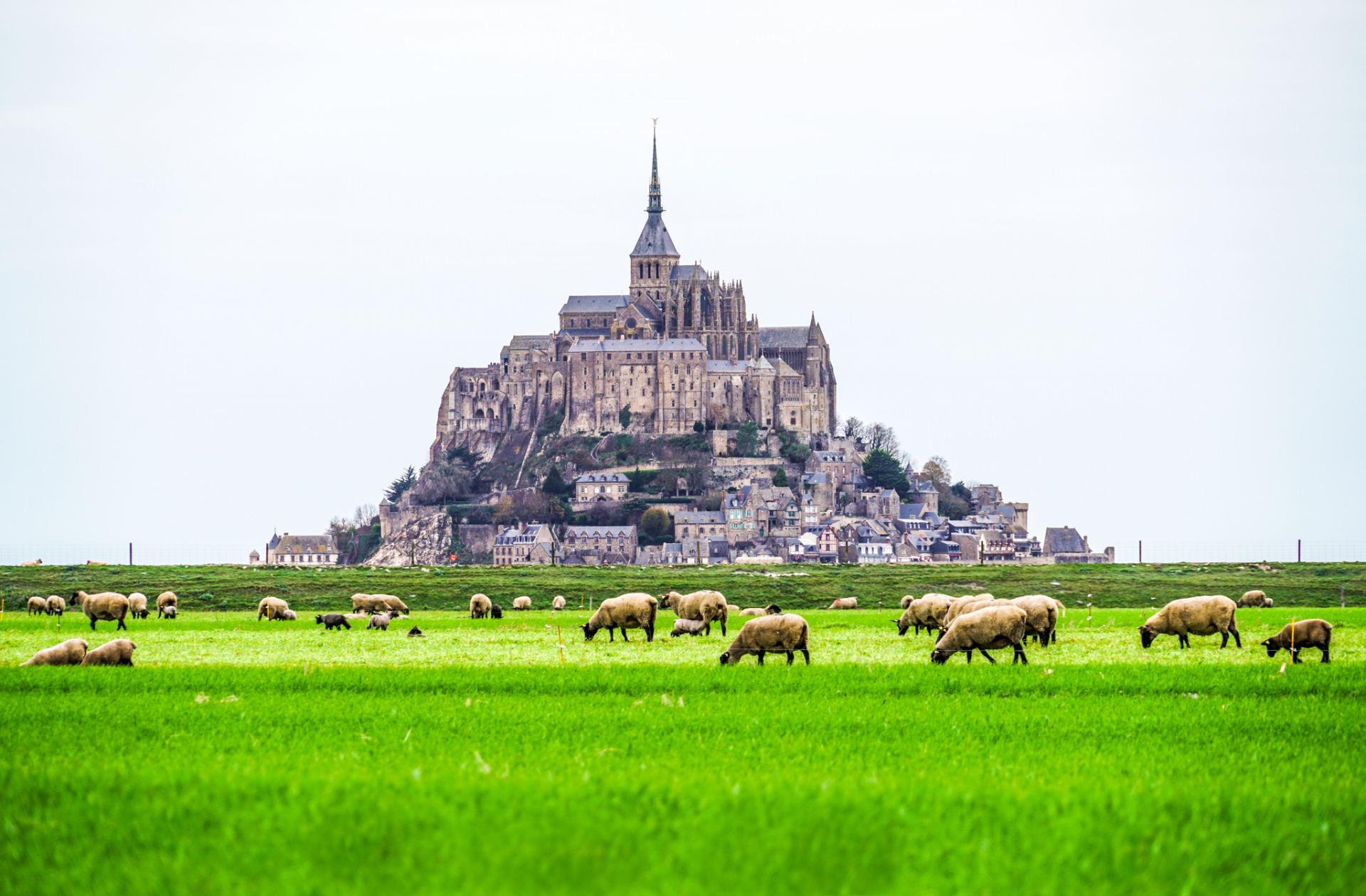 Day Trip to Mont Saint-Michel in Normandy, France