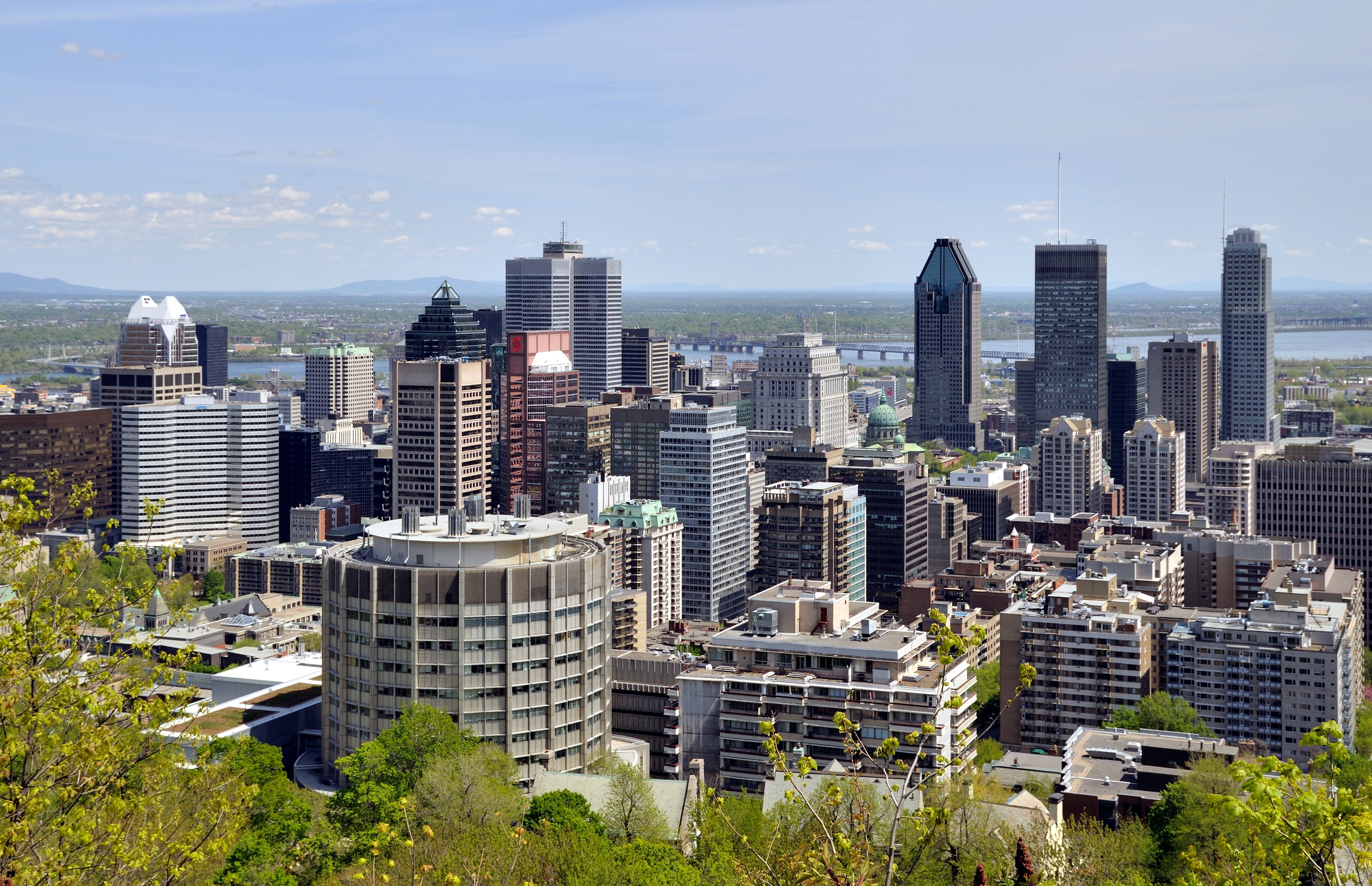 Montreal: worlds within cities – The Oxford Student
