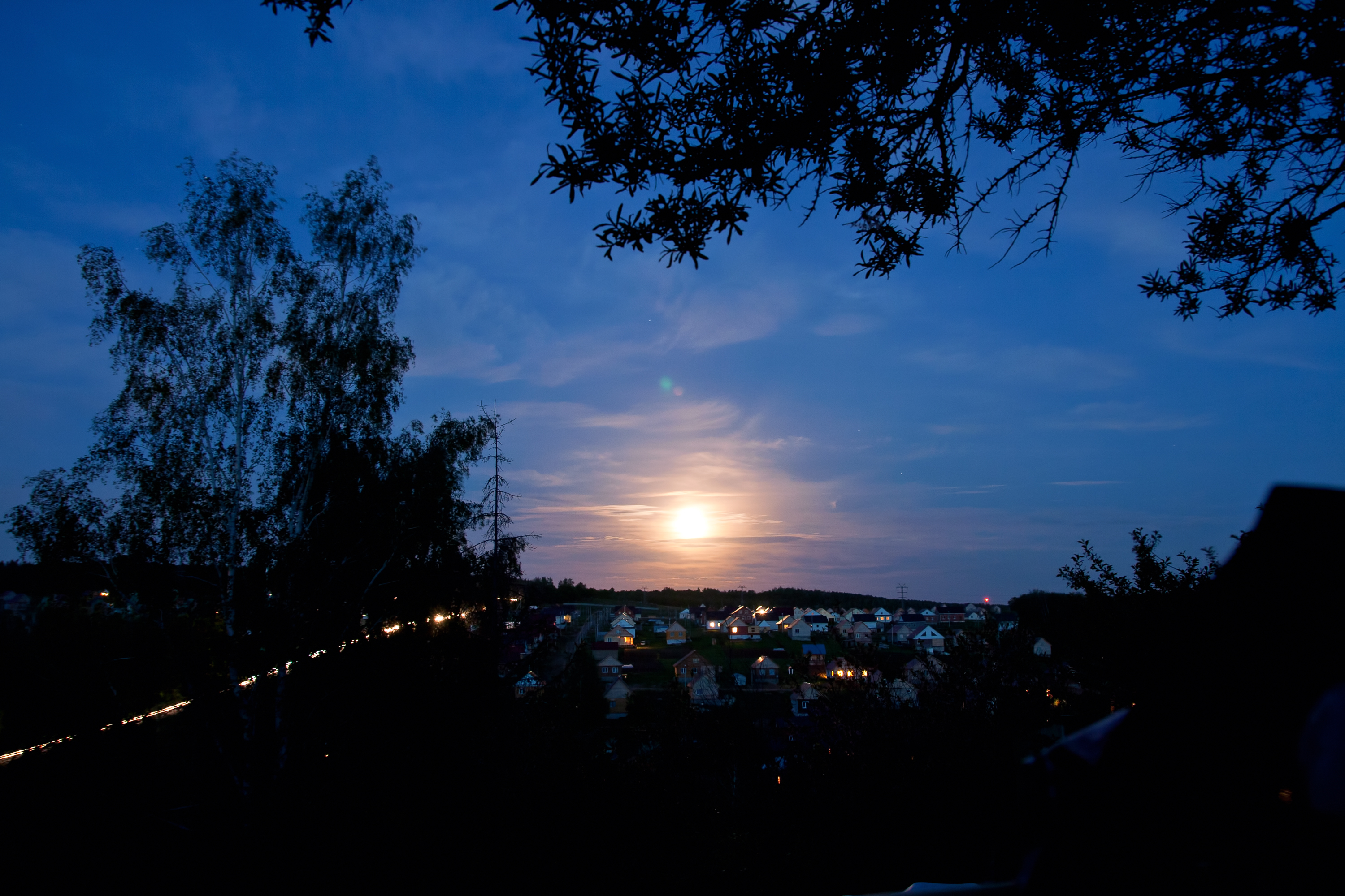 Moon, Backlit, Nature, Trees, Scenery, HQ Photo