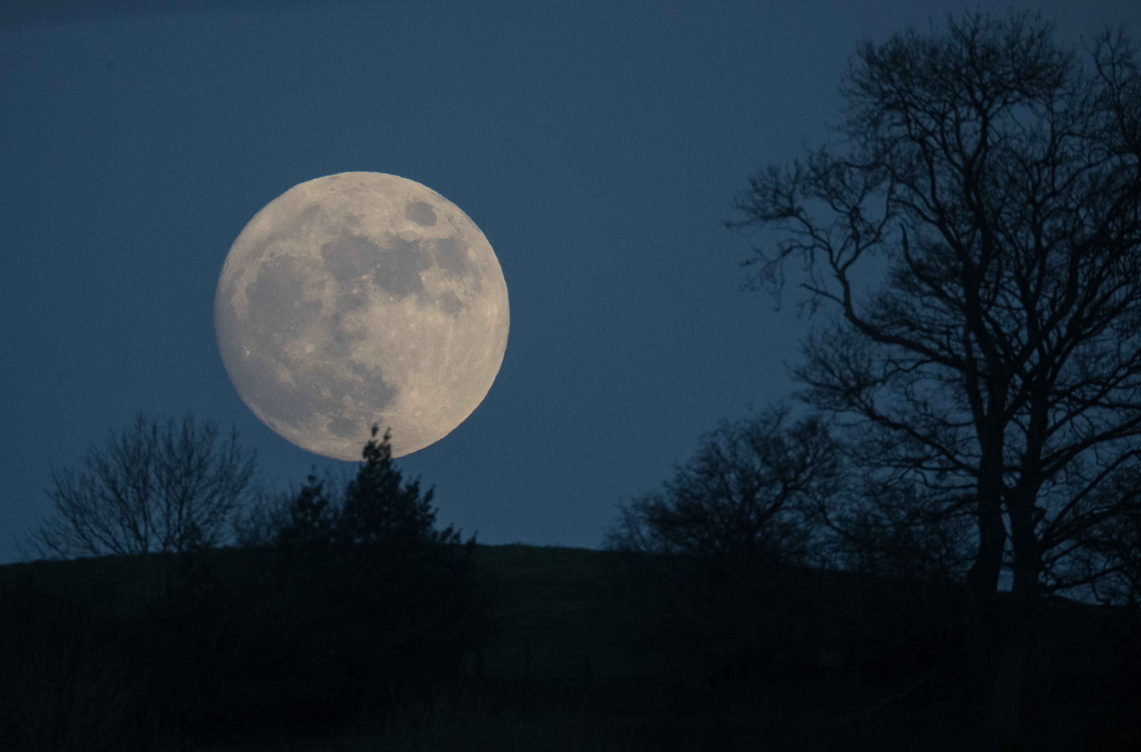 The Meaning Of The Wolf Moon On New Year's Day Provides Space To ...