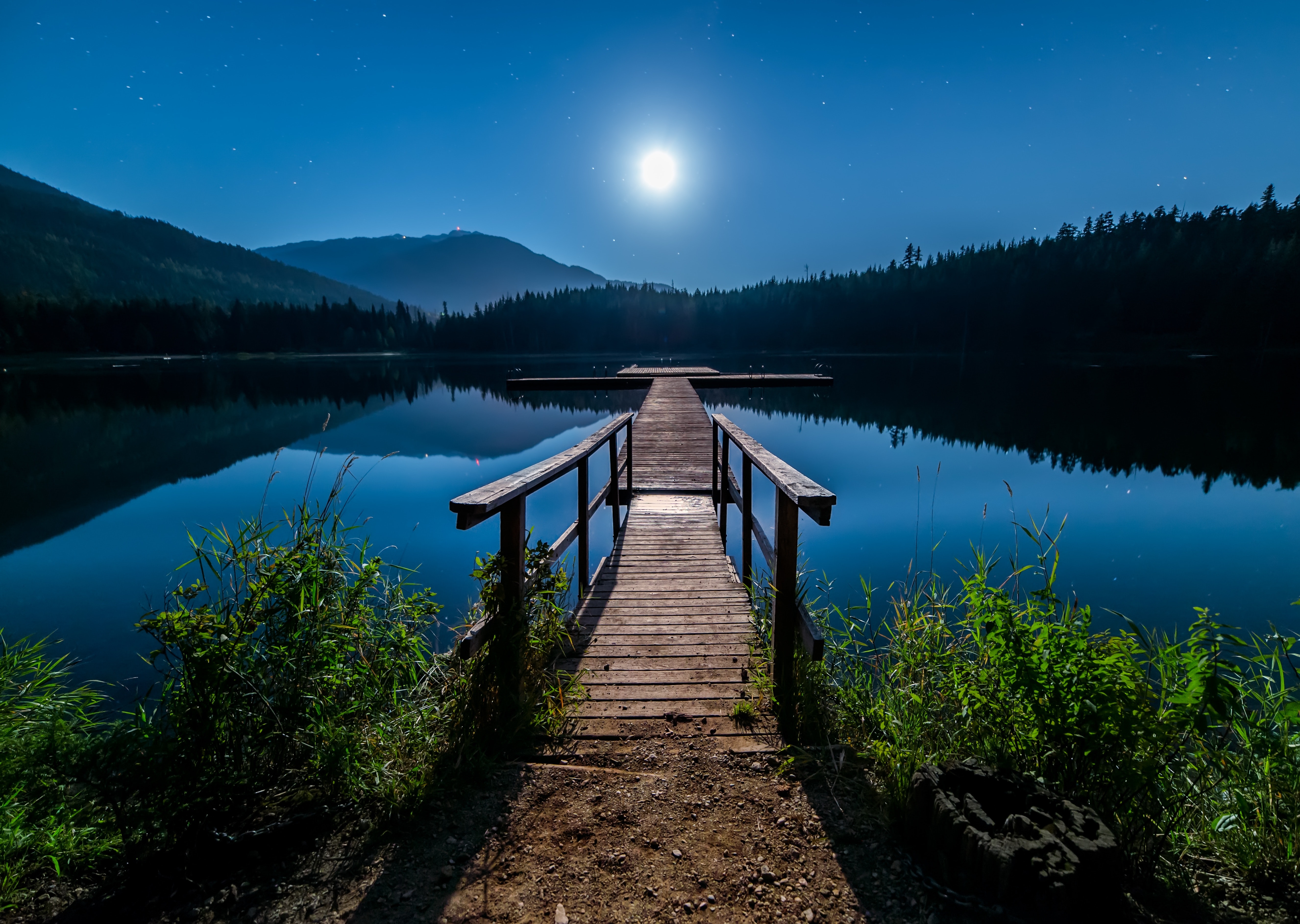 30+ Great Moonlight Photos · Pexels · Free Stock Photos