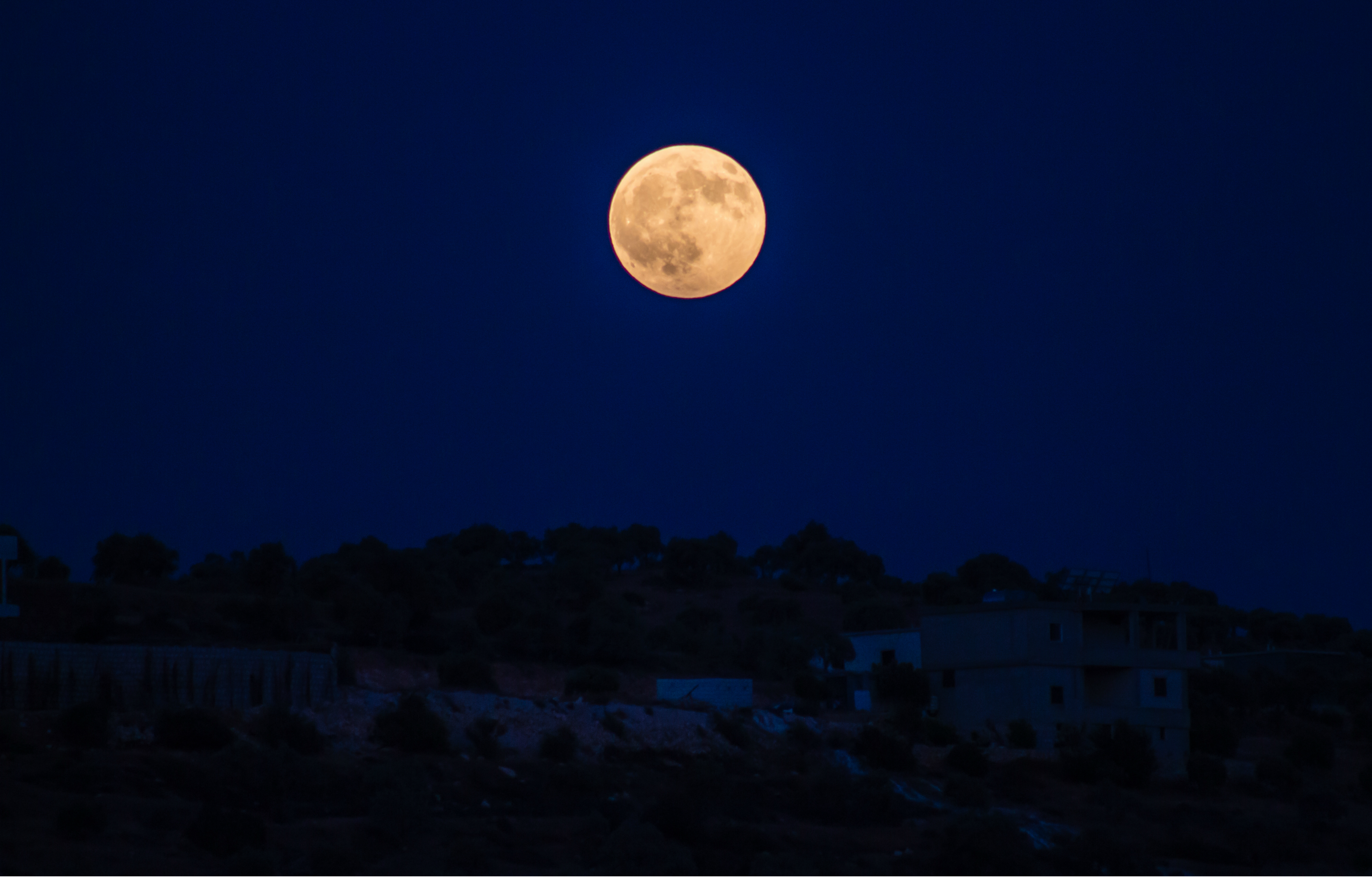 The Moonlit Night — Steemit