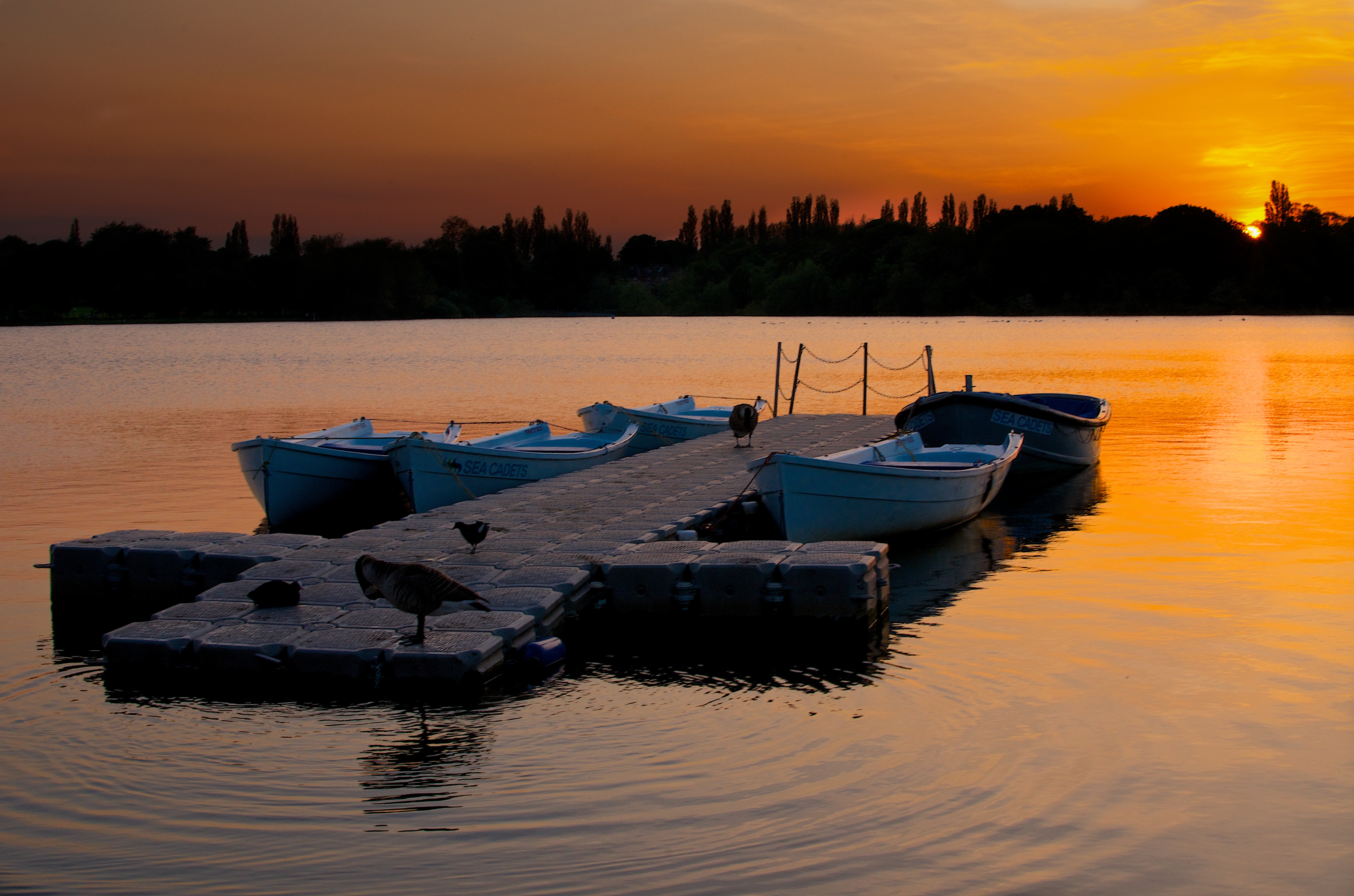 Moored boats at sunset photo