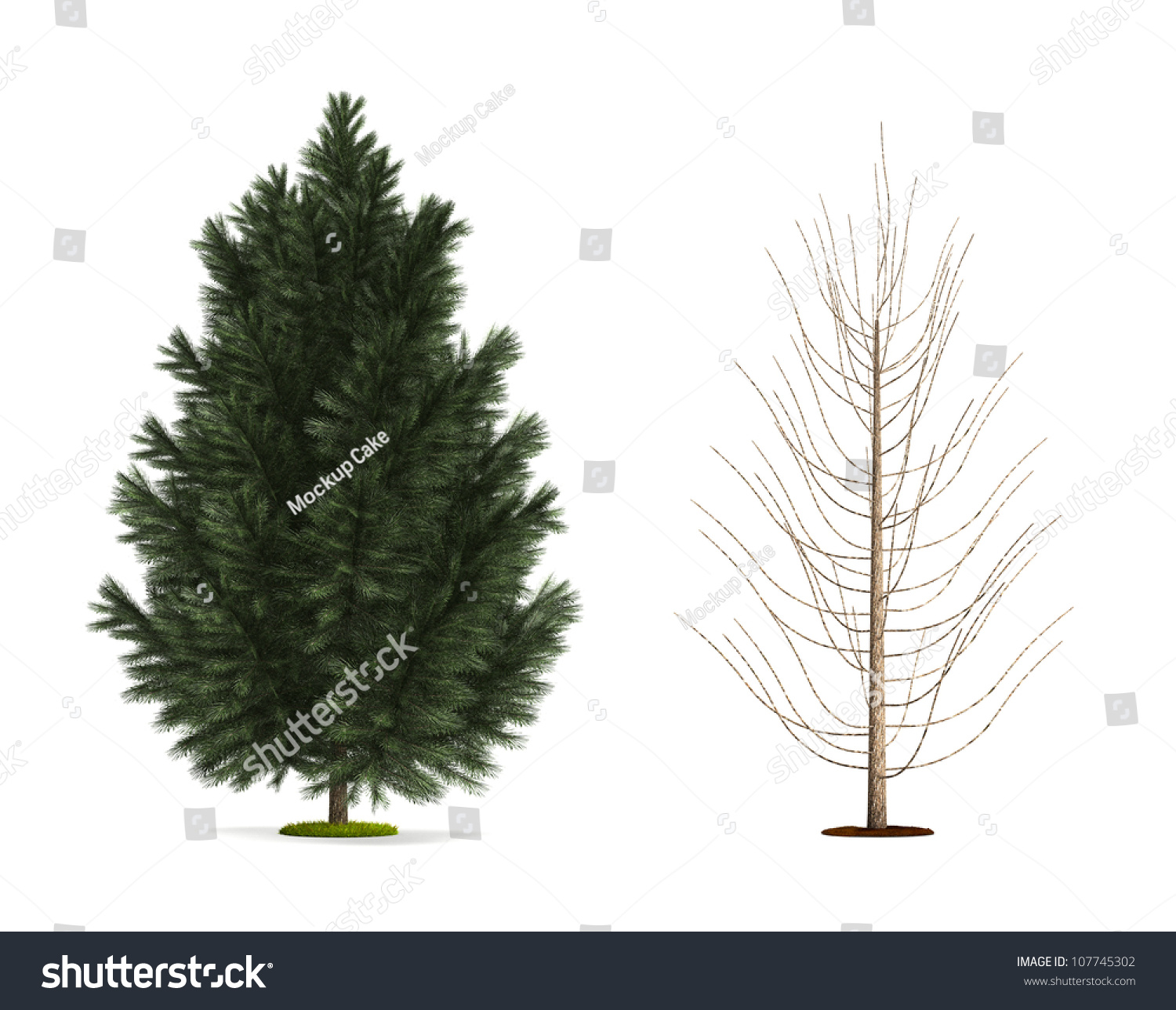 Black Pine Tree High Resolution Image Stock Illustration 107745302 ...