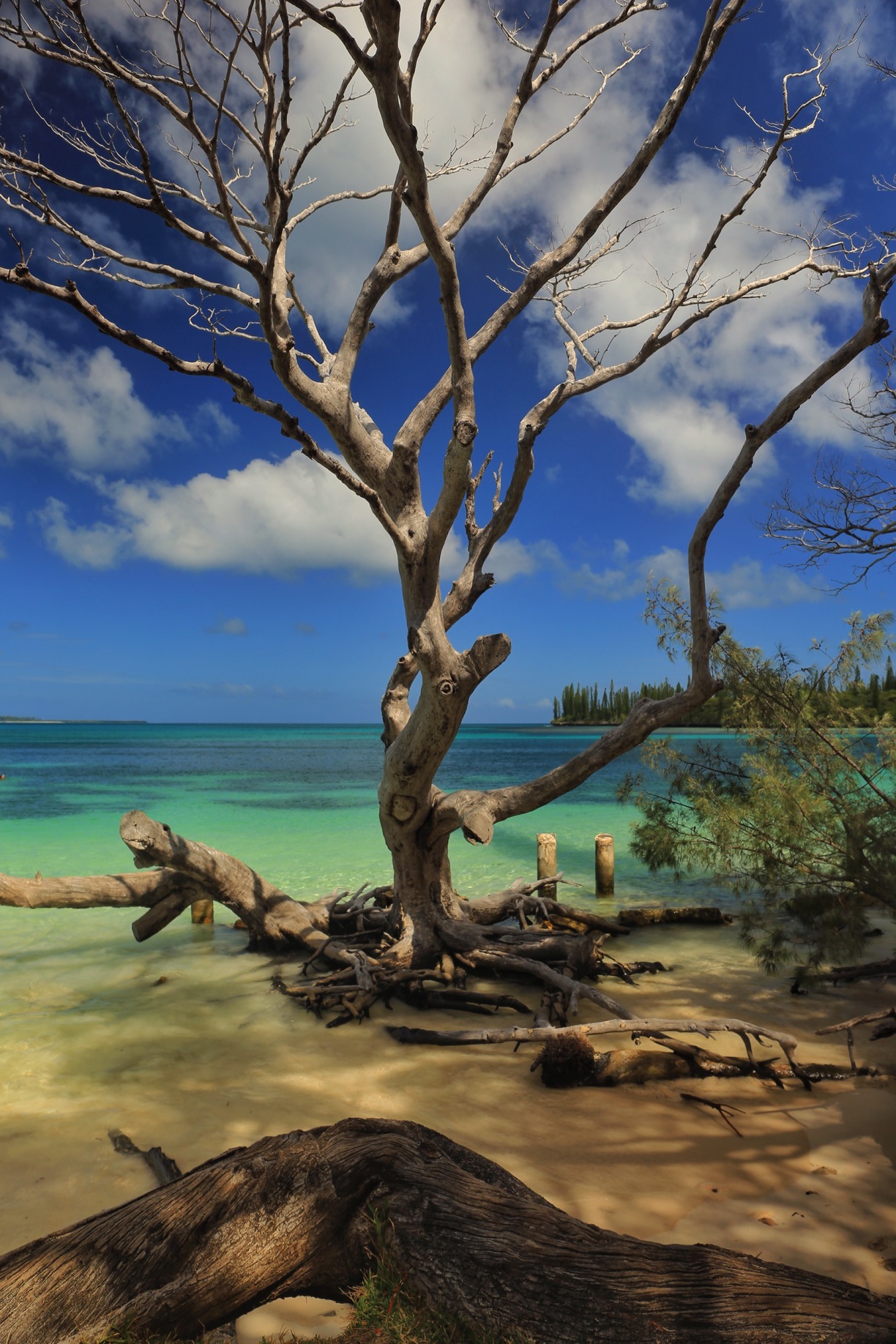 Isle of Pines, New Caledonia - Take me back if I had more time to...