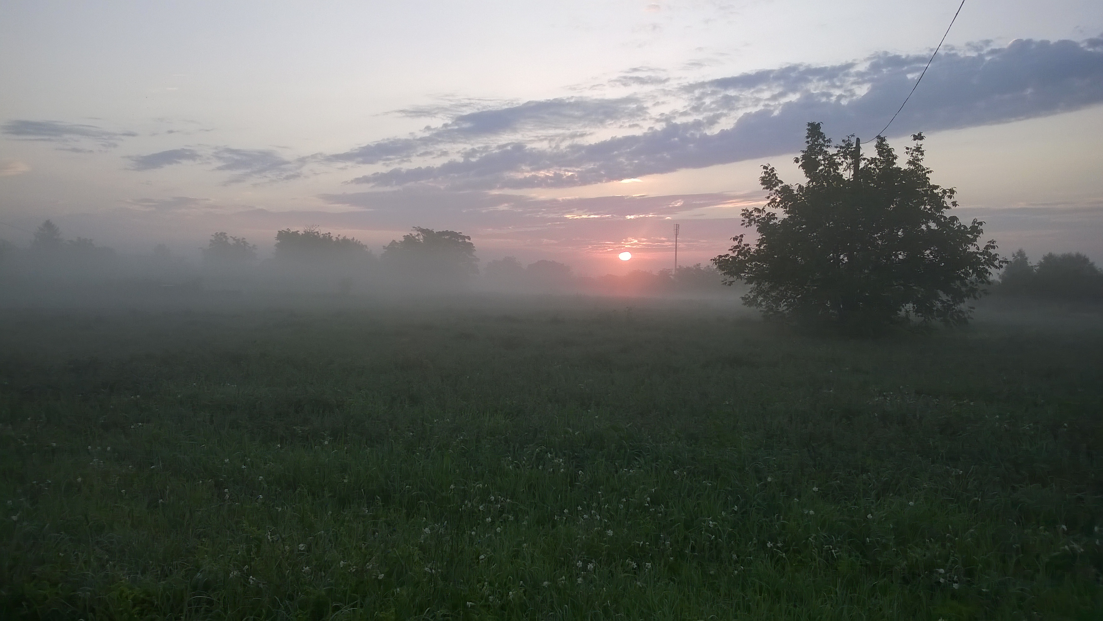 Early morning fog .__. by Raziel-Pony on DeviantArt