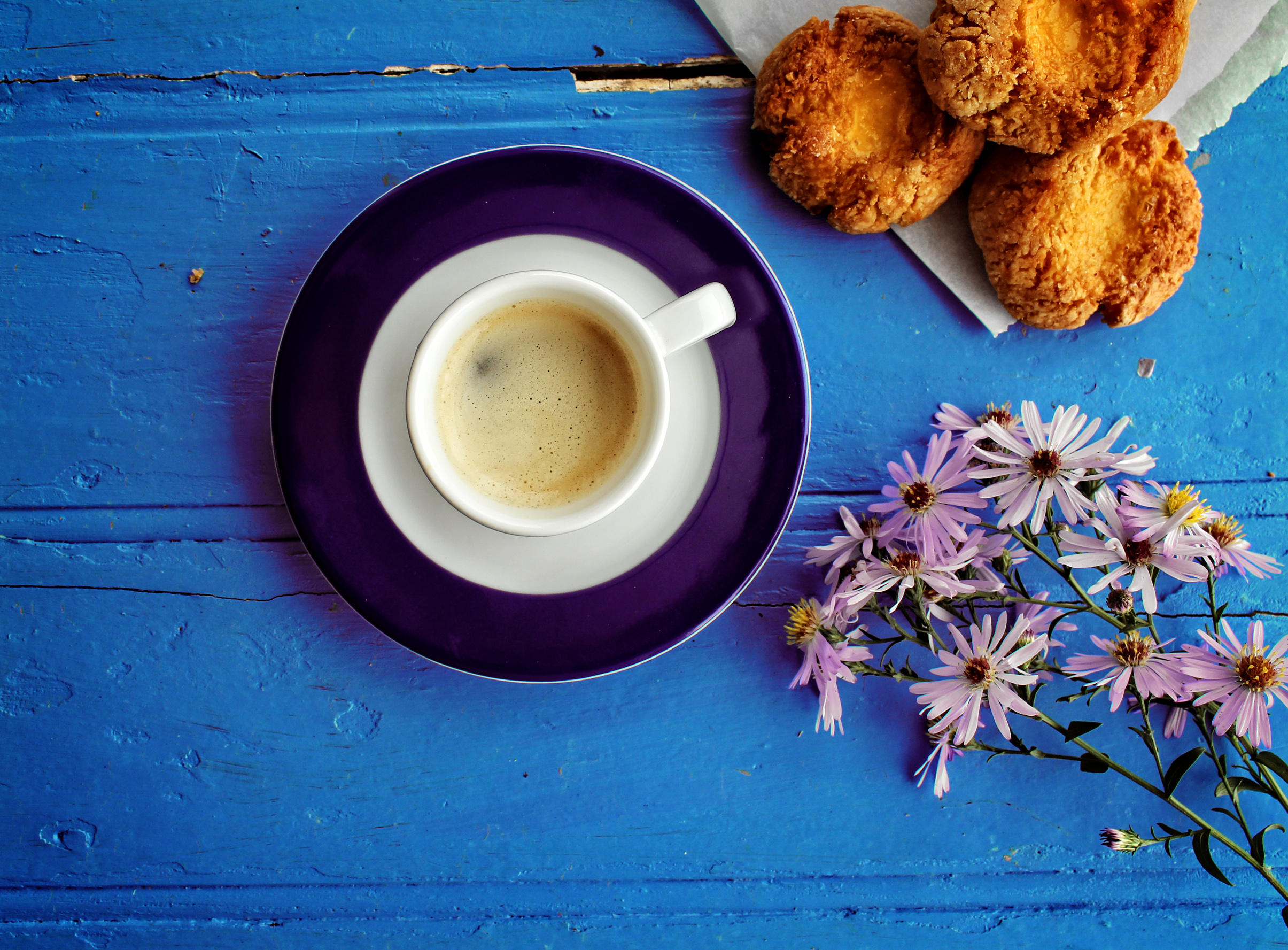 Morning glory - A delicious coffee and cookie breakfast at the farm, Addiction, Mug, Plate, Plants, HQ Photo