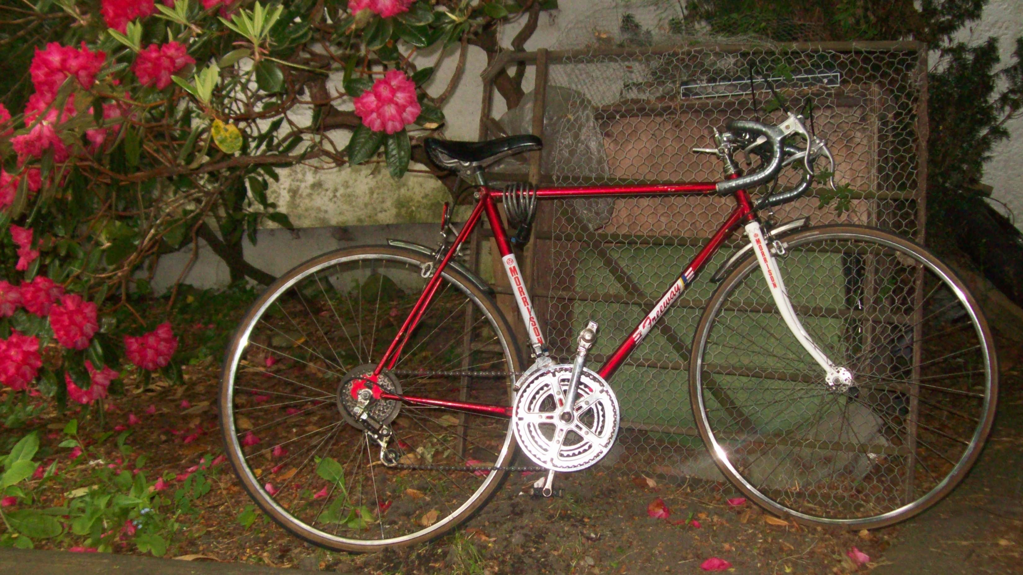 Morrison 10 Speed Bike, Bicycle, Bike, Old, Racing, HQ Photo