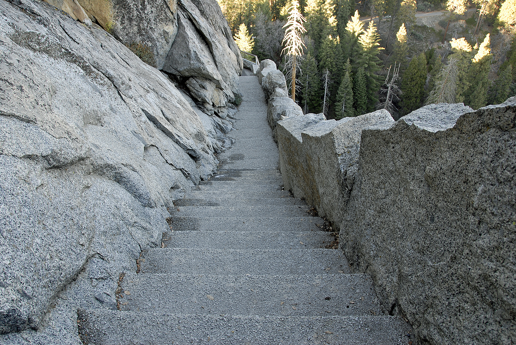 Morro rock stairs in sequoia national pa photo