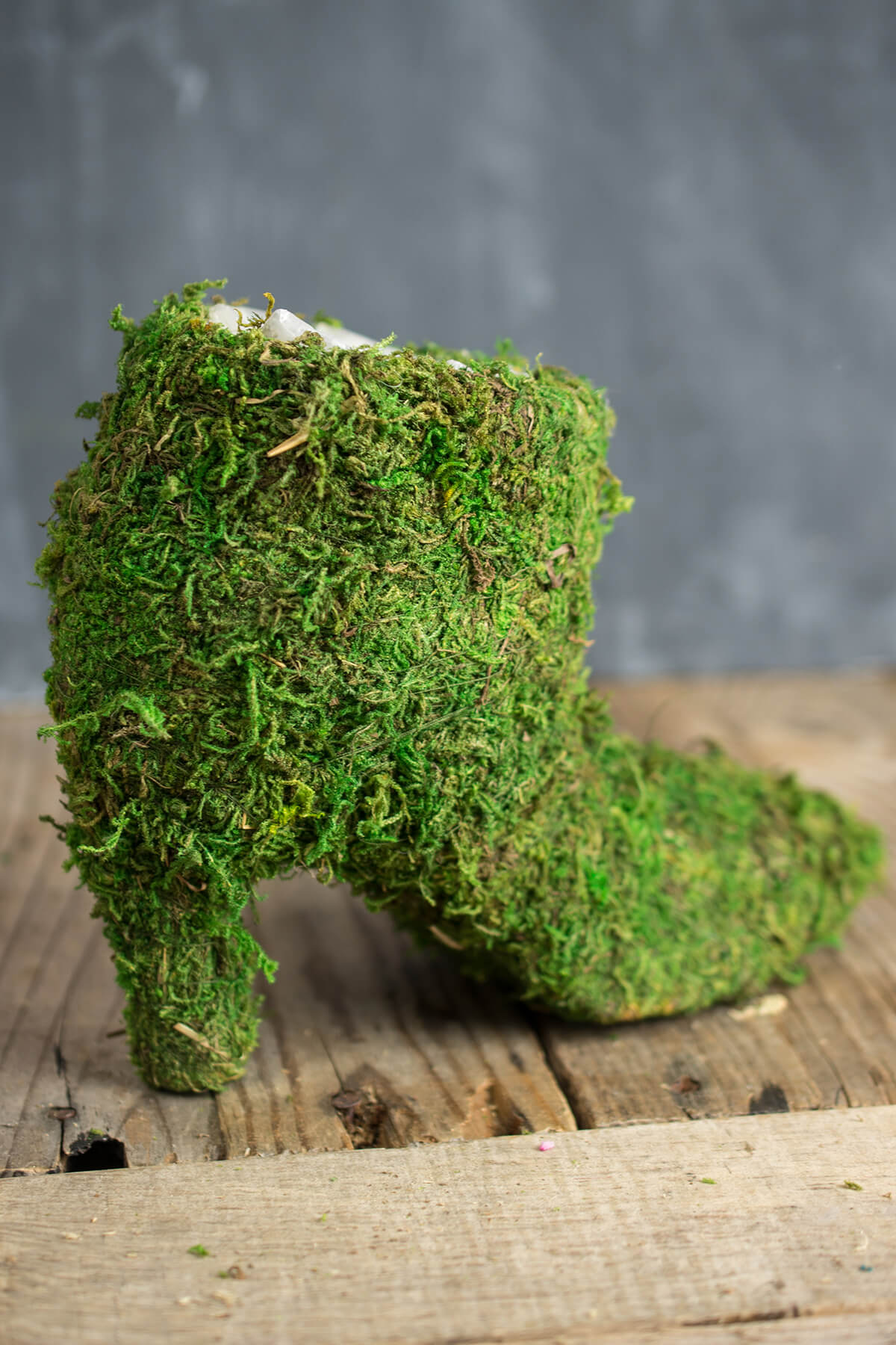 Moss Covered Ladies Boot 7