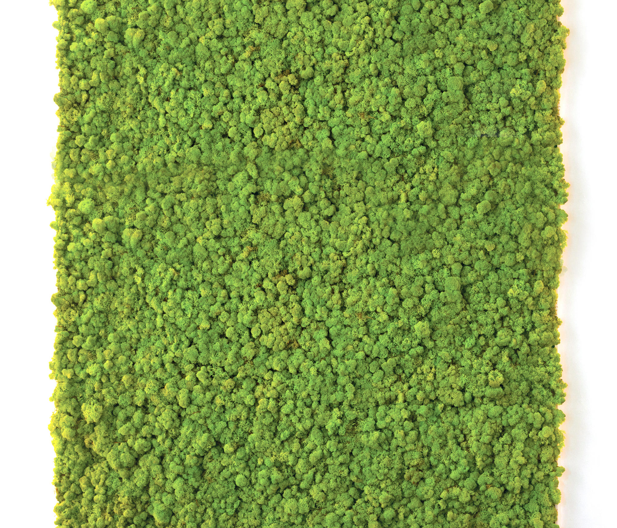 MOSS WALL - Living / Green walls from Verde Profilo | Architonic