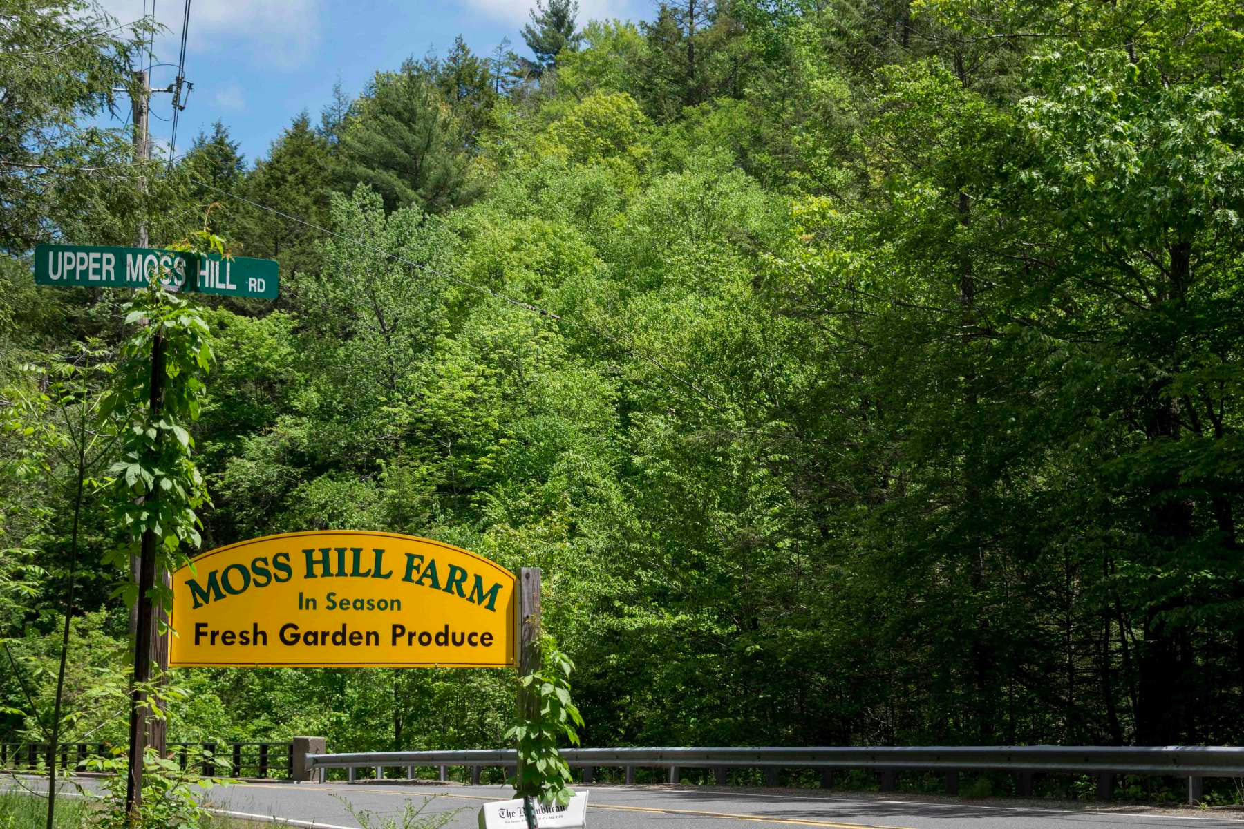 Moss Hill Farm, Moss Hill Farm, MA: 25 Hipcamper reviews and 18 photos