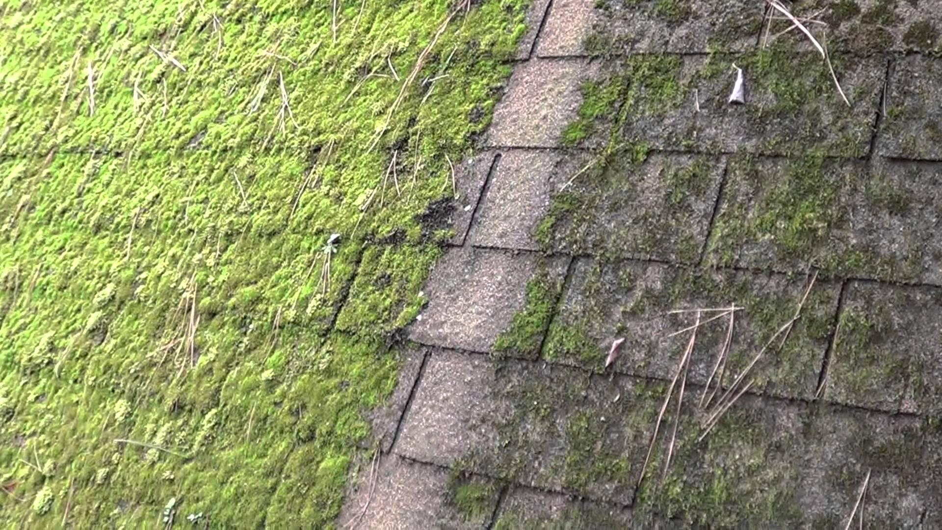 galvanized steel halts moss on roof shingles - YouTube