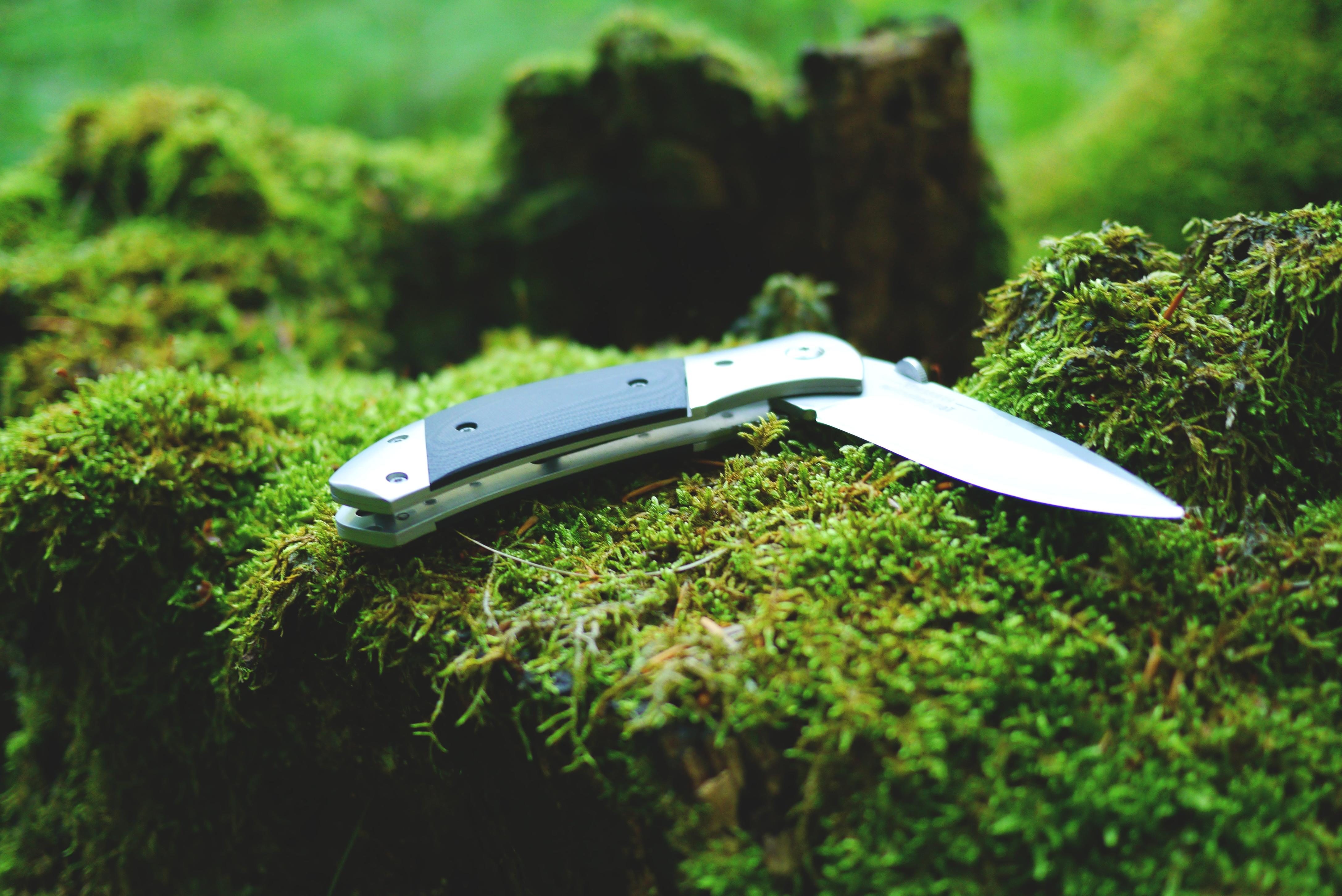 Free picture: wood, knife, tool, moss, lichen, stainless steel, nature
