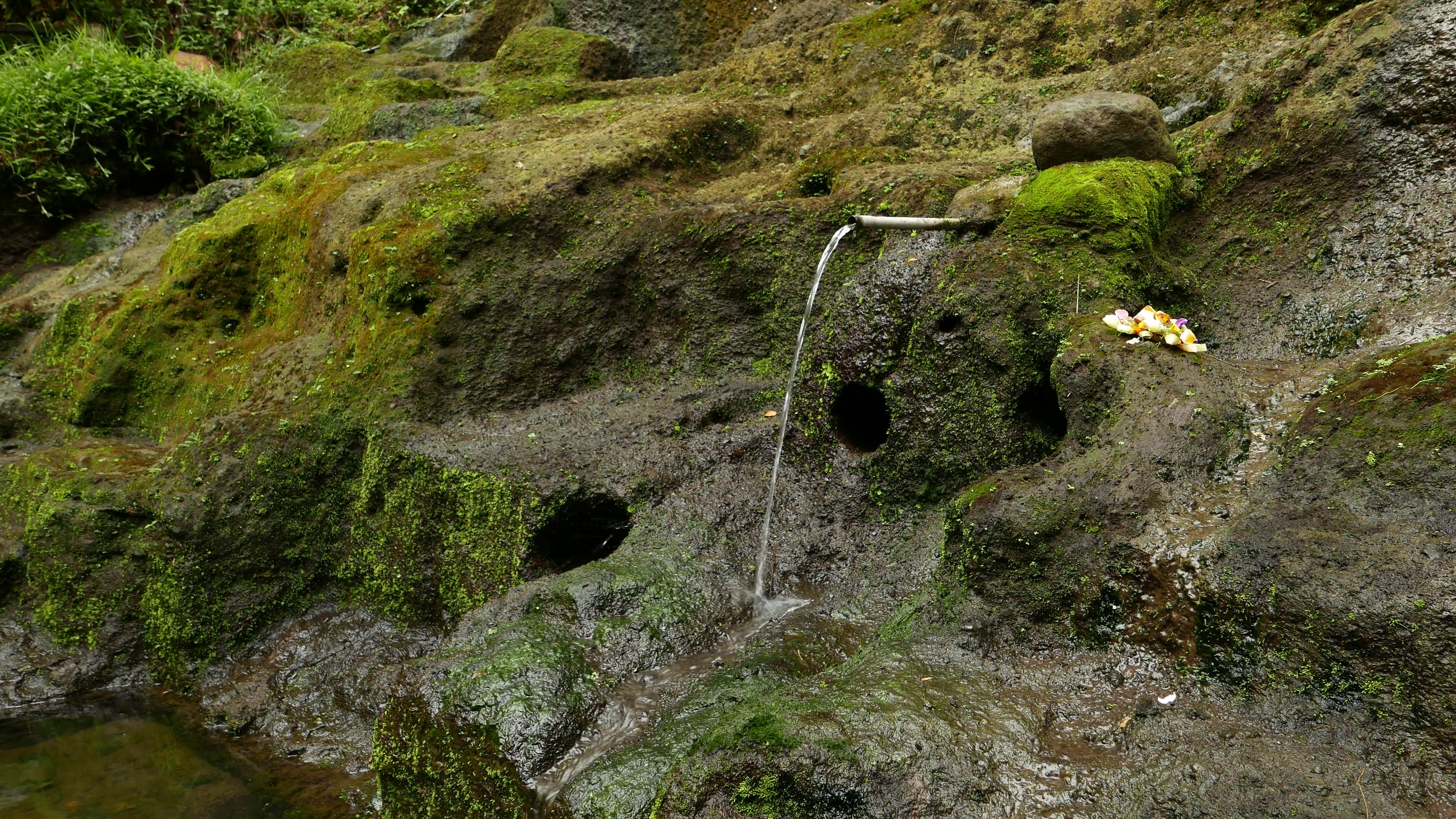 Water trickle from rill hold in steel pipe, against moss-covered ...