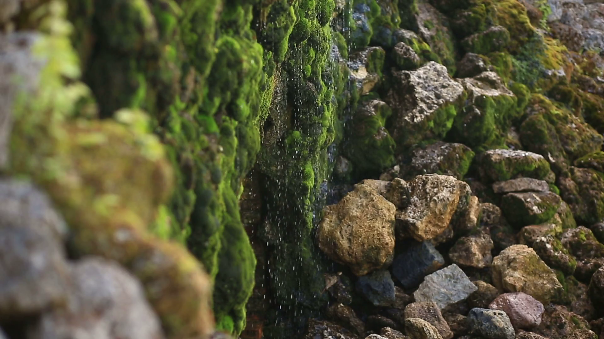 Stones and rocks covered with moss along the water stream, splashes ...