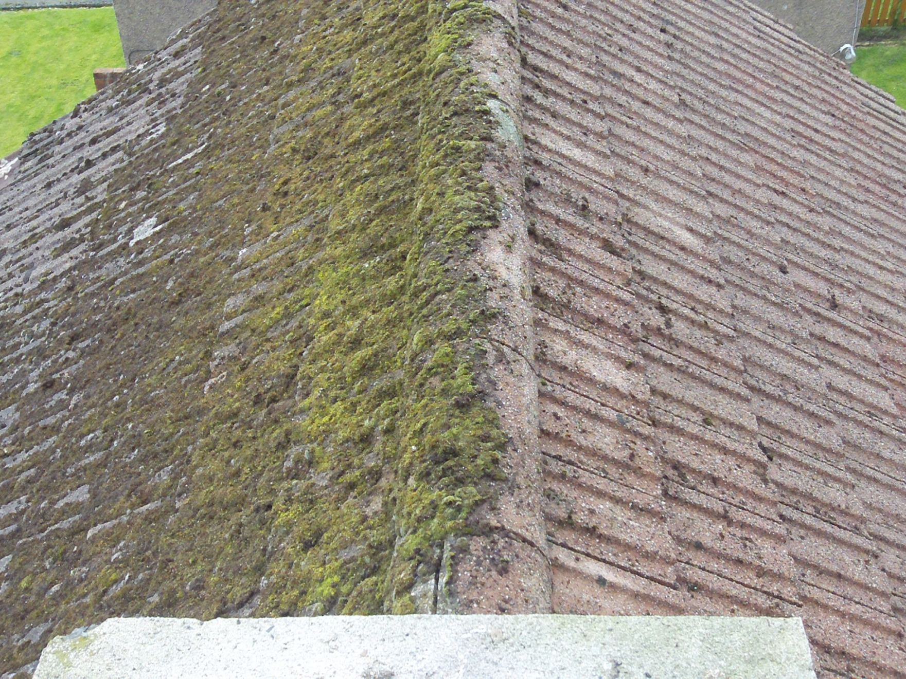 Clean Moss From Roof Nice Design #2 Roof Moss Removal ...
