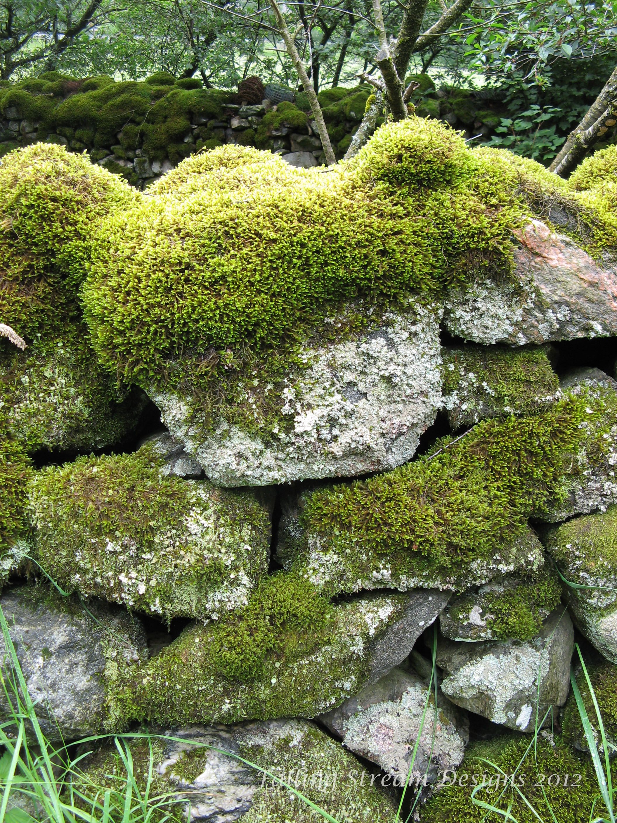 moss-on-rock-wall.jpg (2112×2816) | Rocks and Boulders | Pinterest