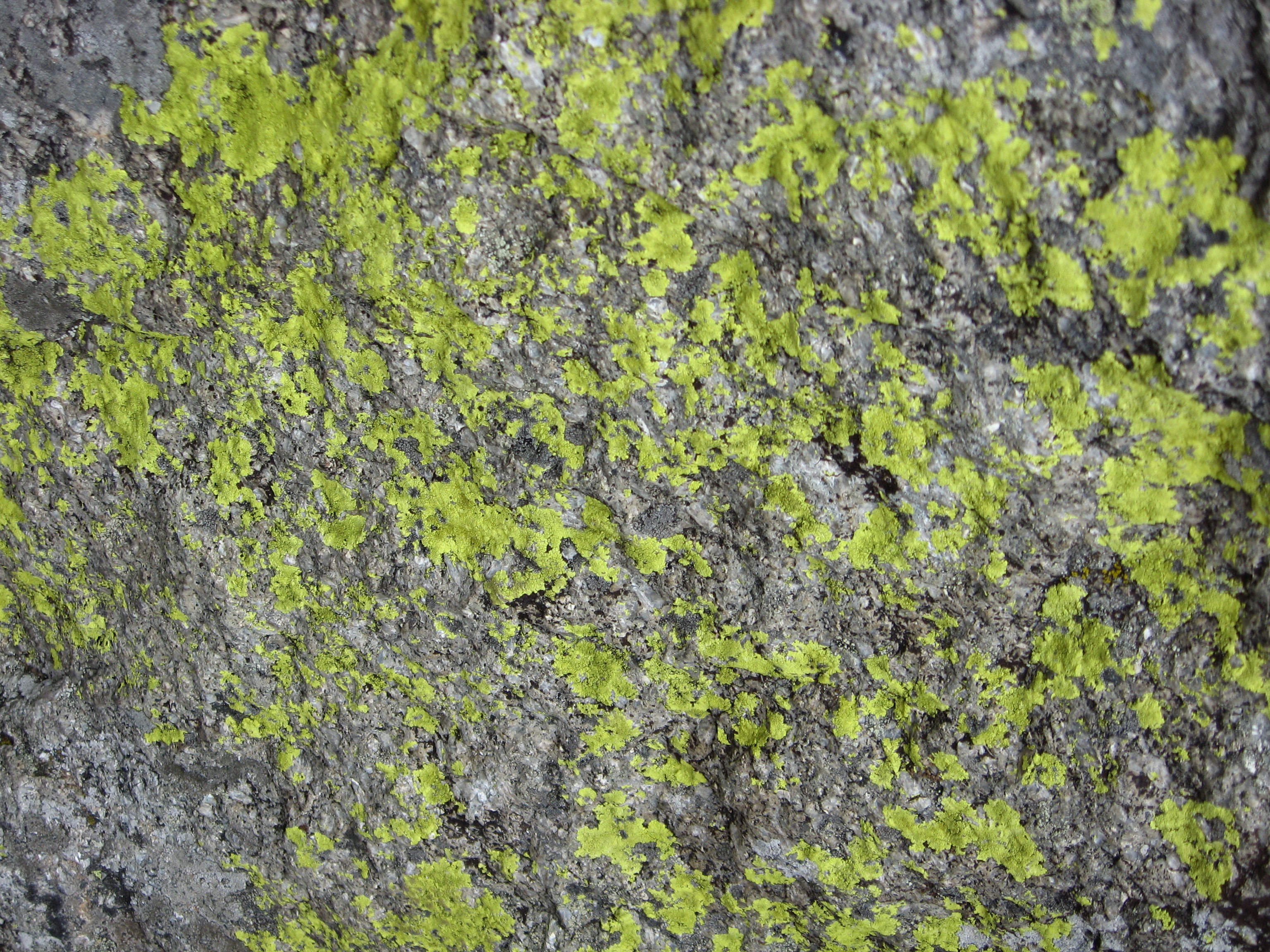 Rock with Moss Texture 2 by stock-it on DeviantArt