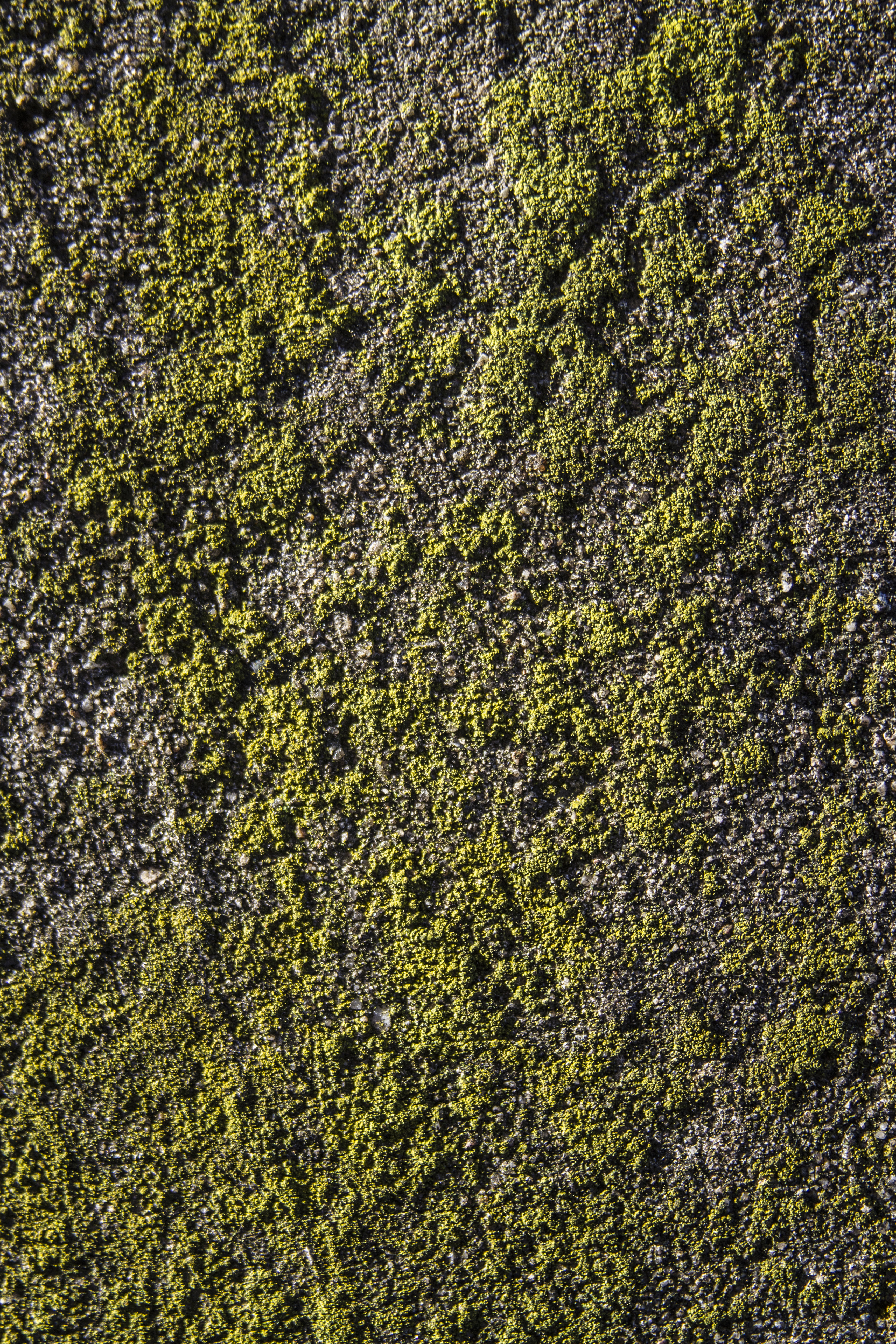 mossy rock texture by pangman on DeviantArt