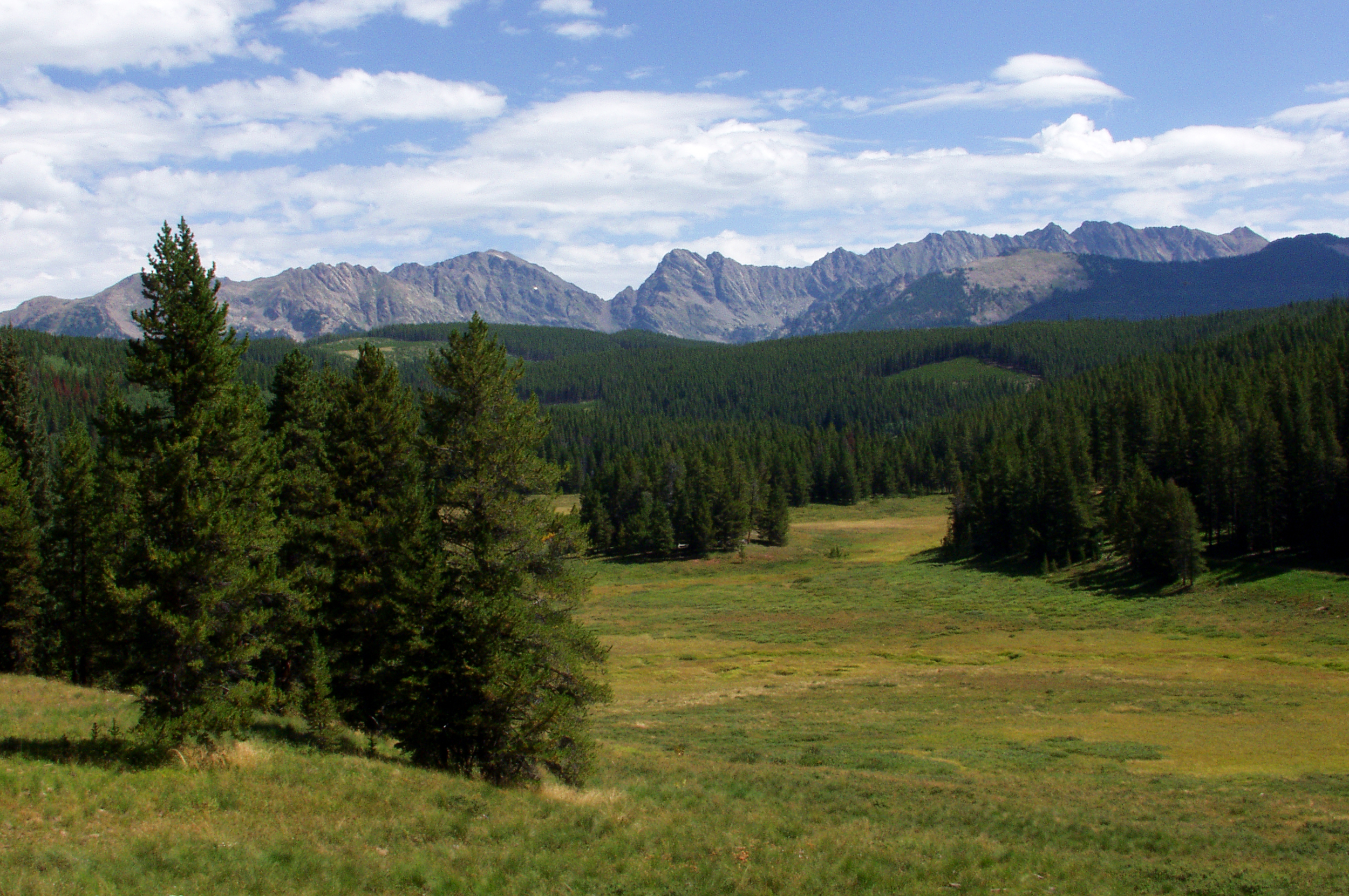 Confronting the Climate Impacts to Rocky Mountain Forests: From the ...