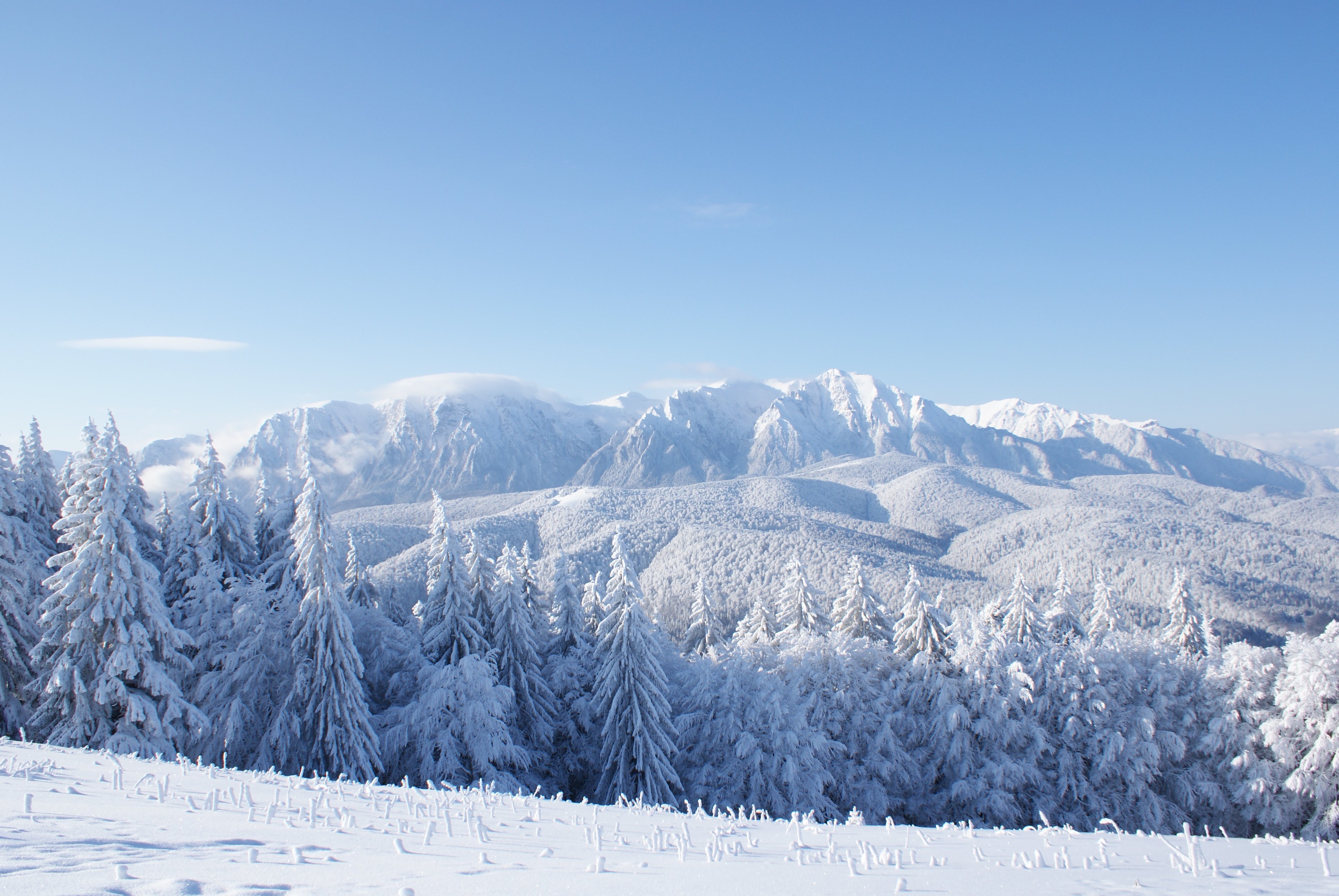 4 Reasons to Get Away This Winter in the Smoky Mountains - The All ...