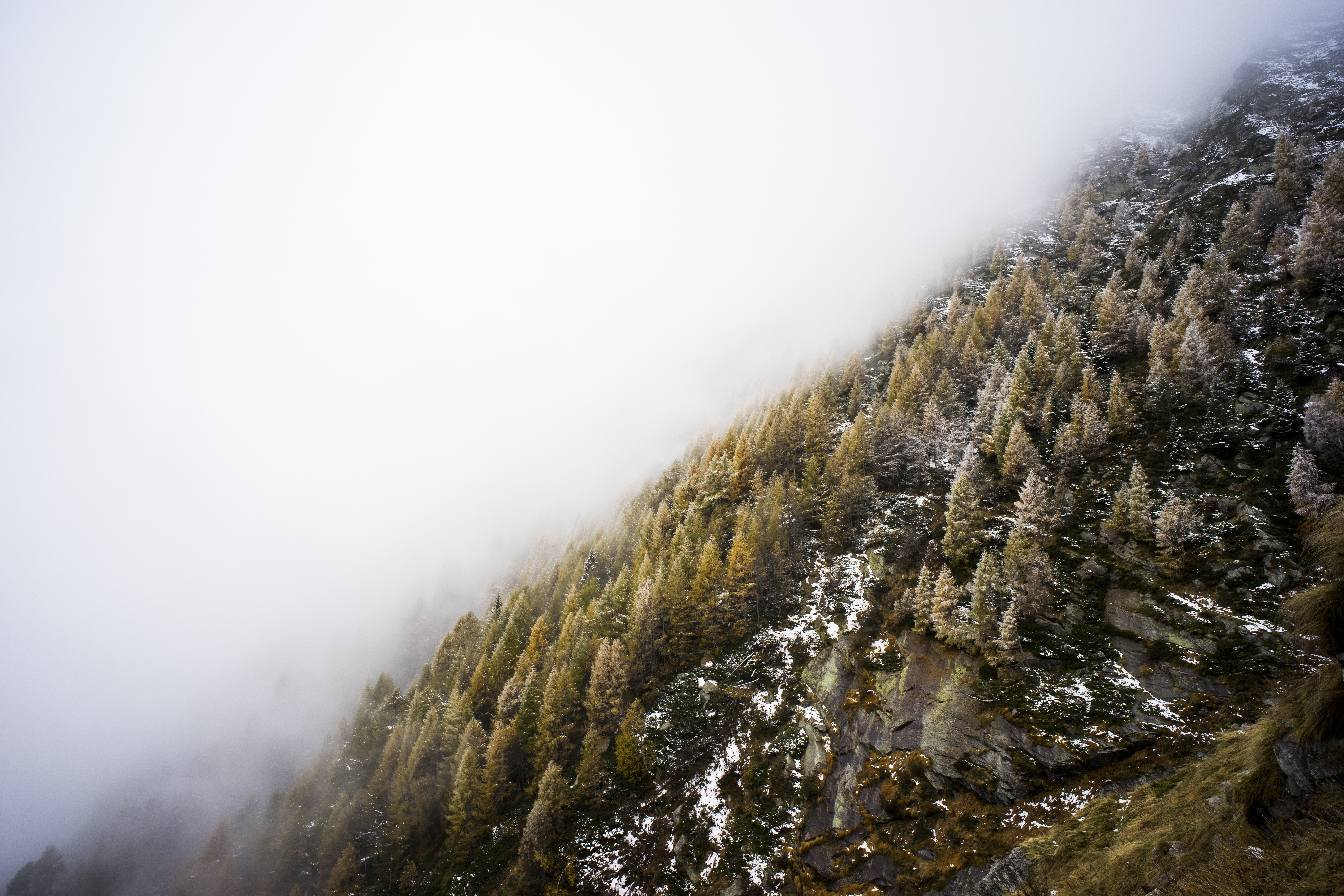 Mountain fog photo