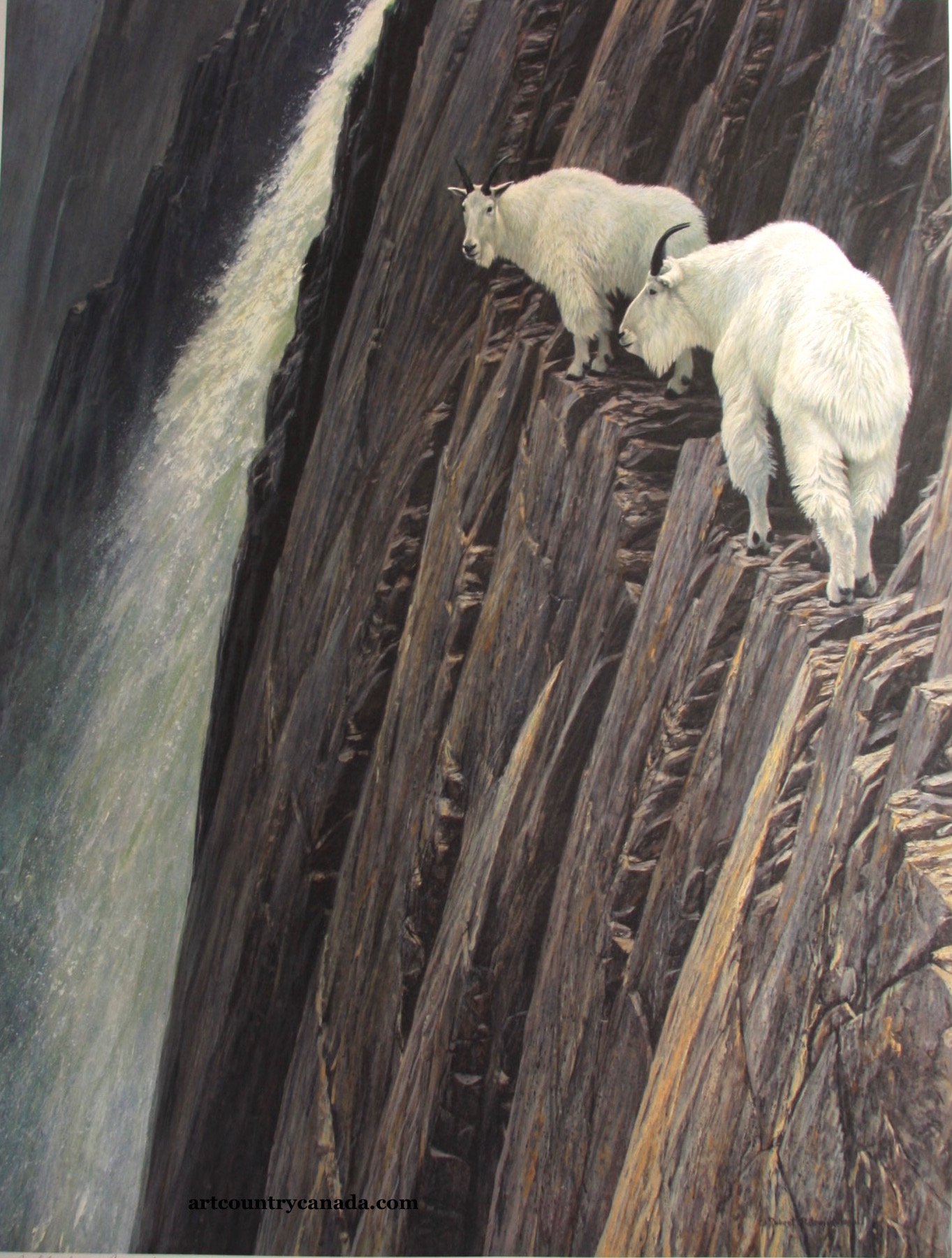 Art Country Canada -ROBERT BATEMAN Sheer Drop Mountain GoatsOffset ...